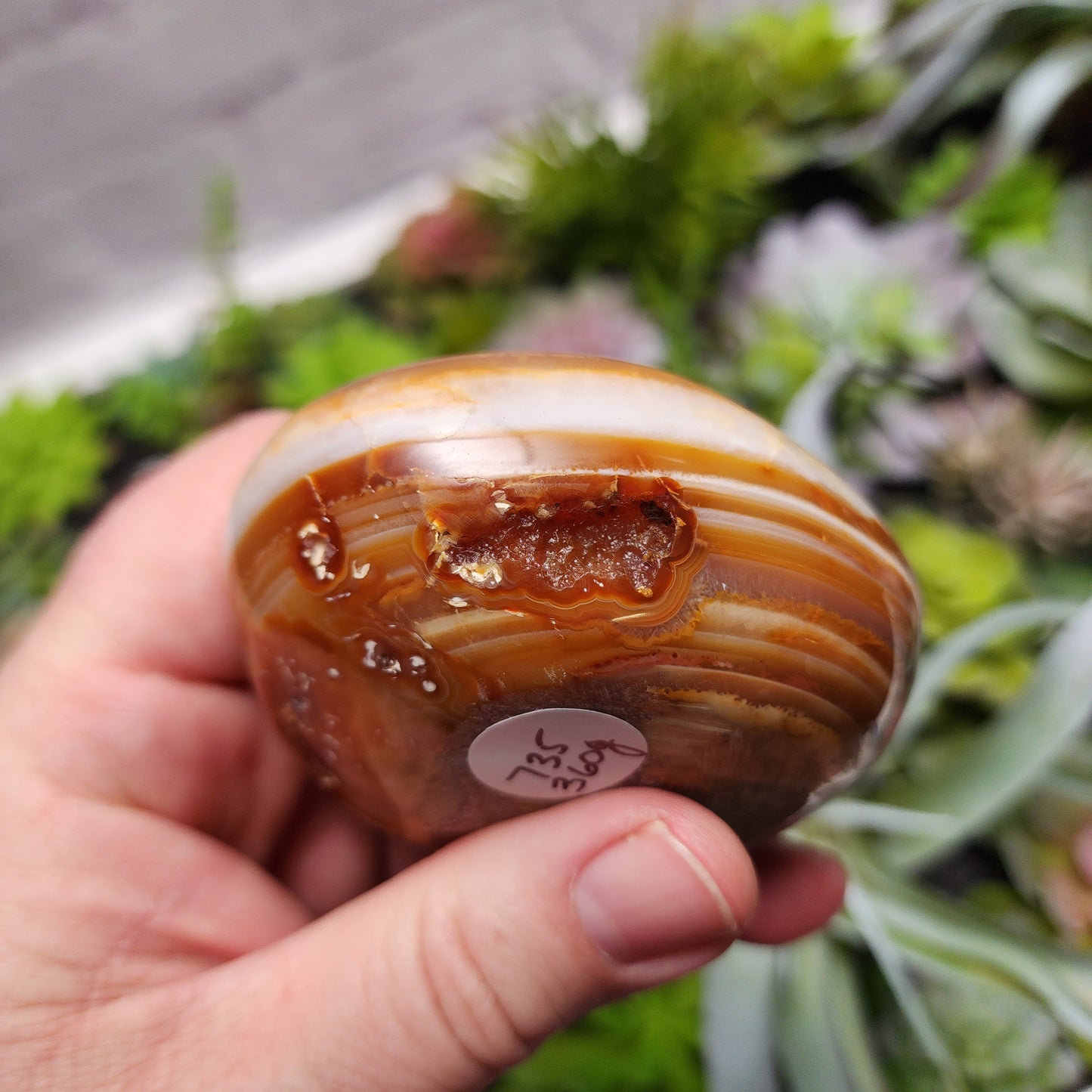 Carnelian Dish | 2395