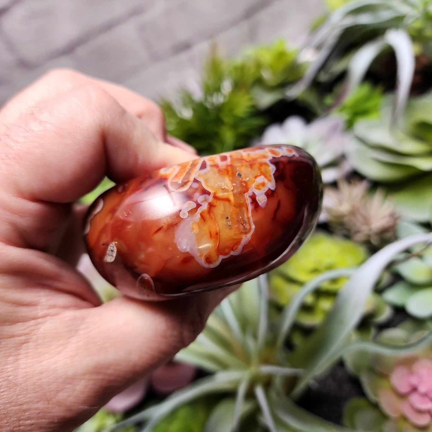 Carnelian Dish | 2396