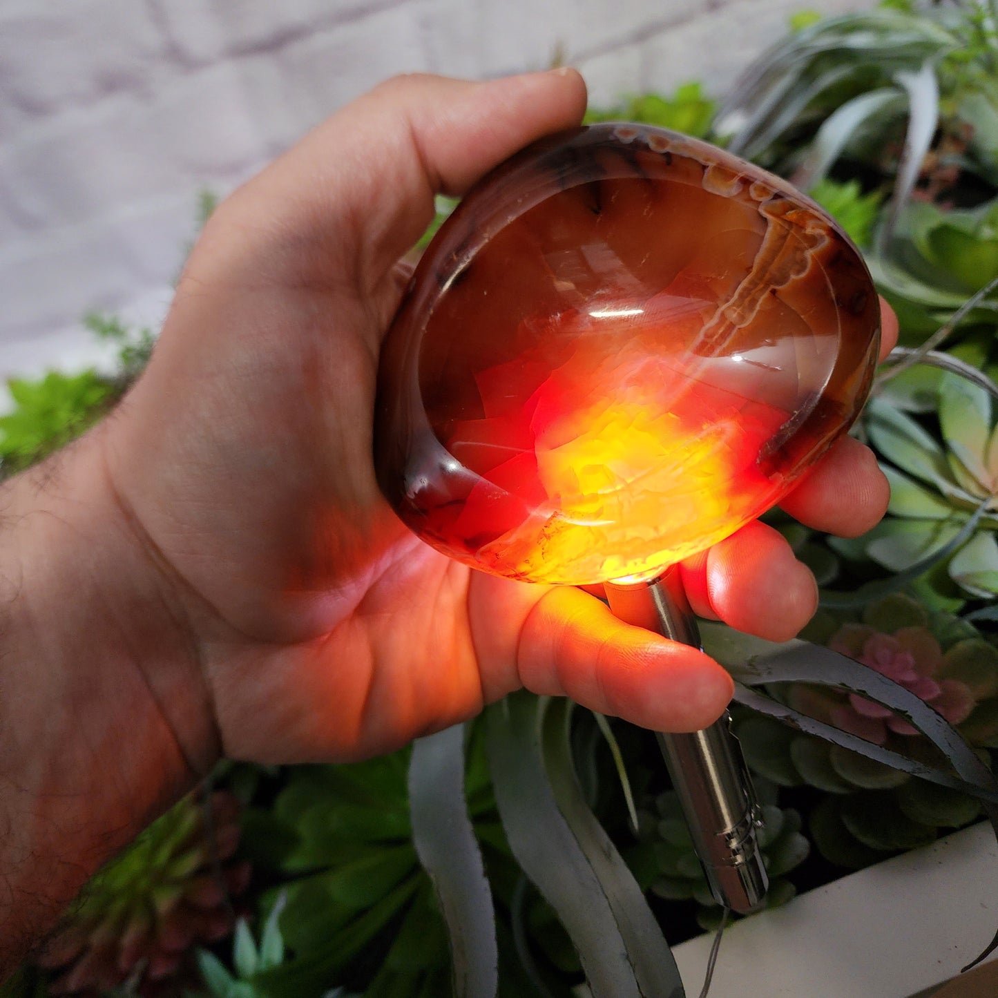 Carnelian Dish | 2396