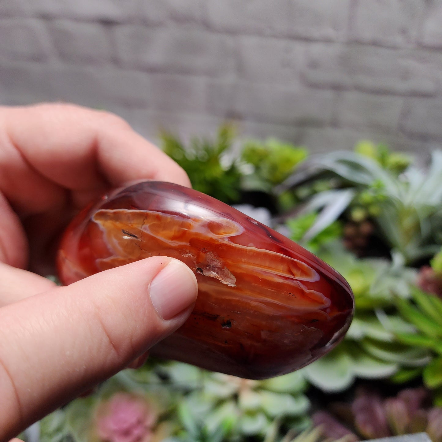 Carnelian Dish | 2396