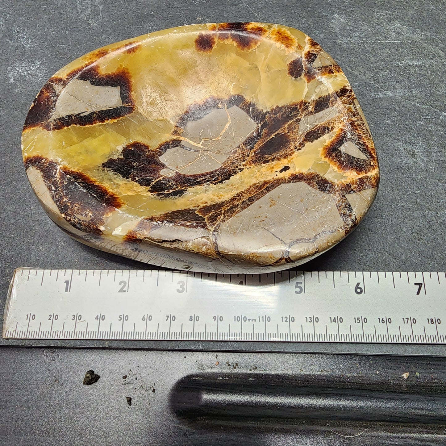Septarian Dish | 2398