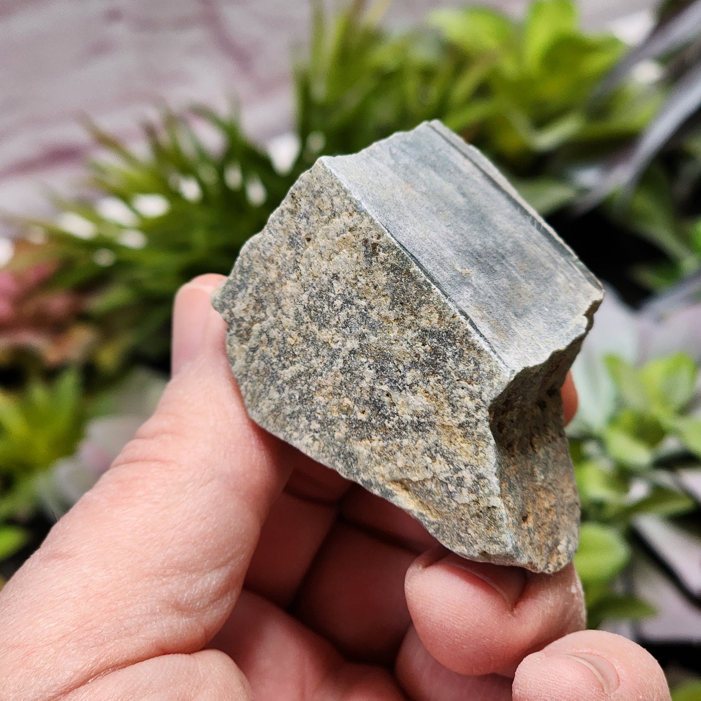 Olmec Blue Jadeite Jade Rough Material | 2314
