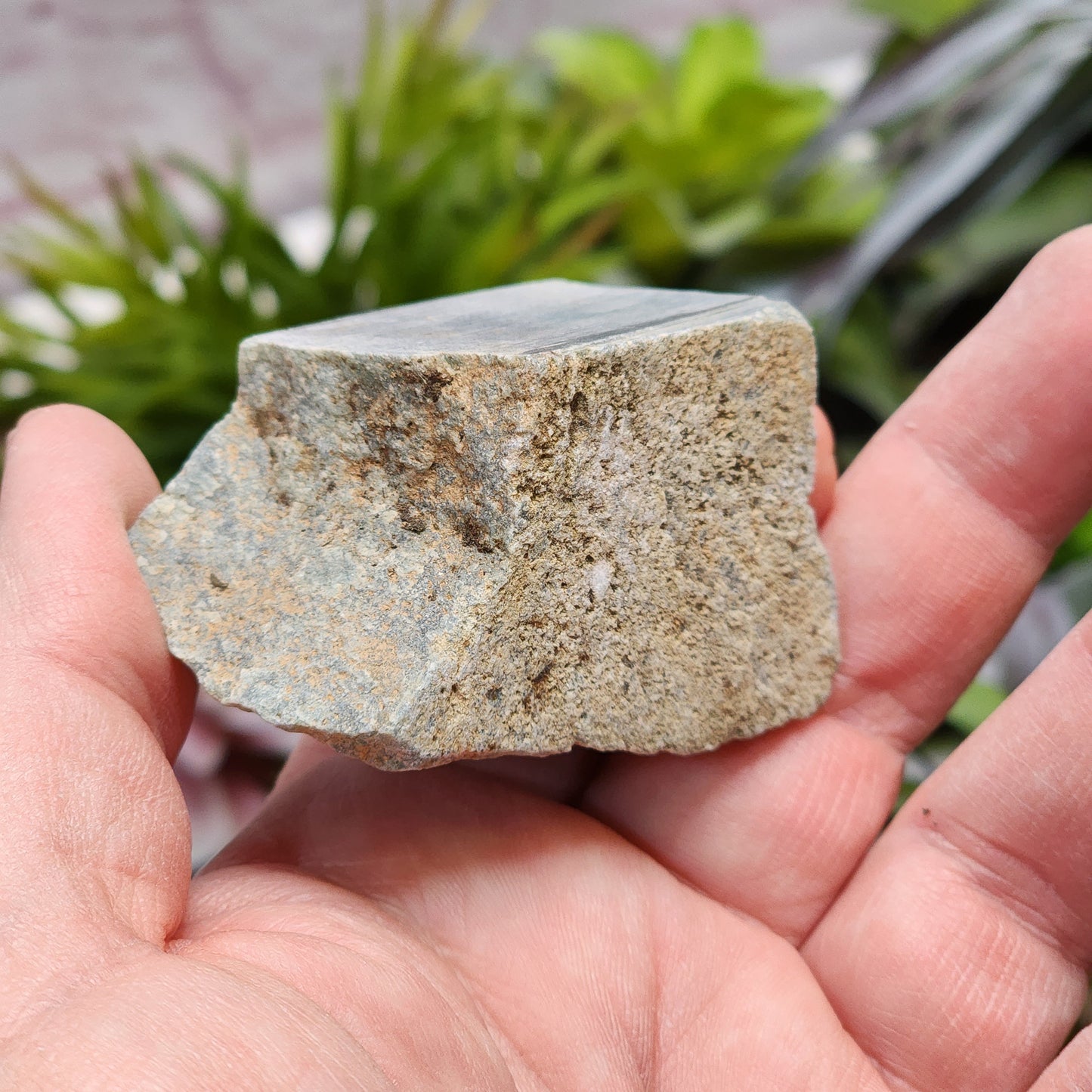Olmec Blue Jadeite Jade Rough Material | 2314