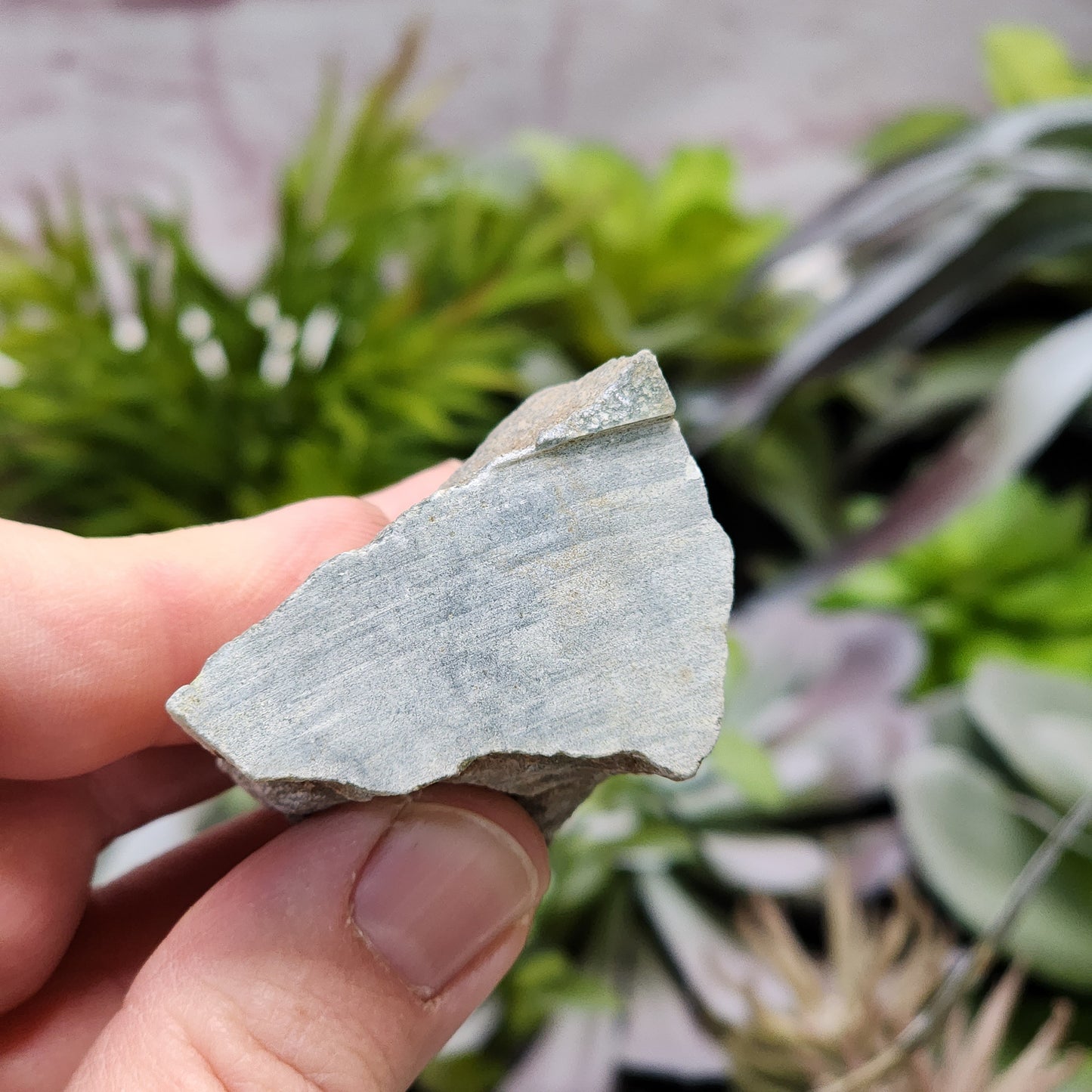 Olmec Blue Jadeite Jade Rough Material | 2315