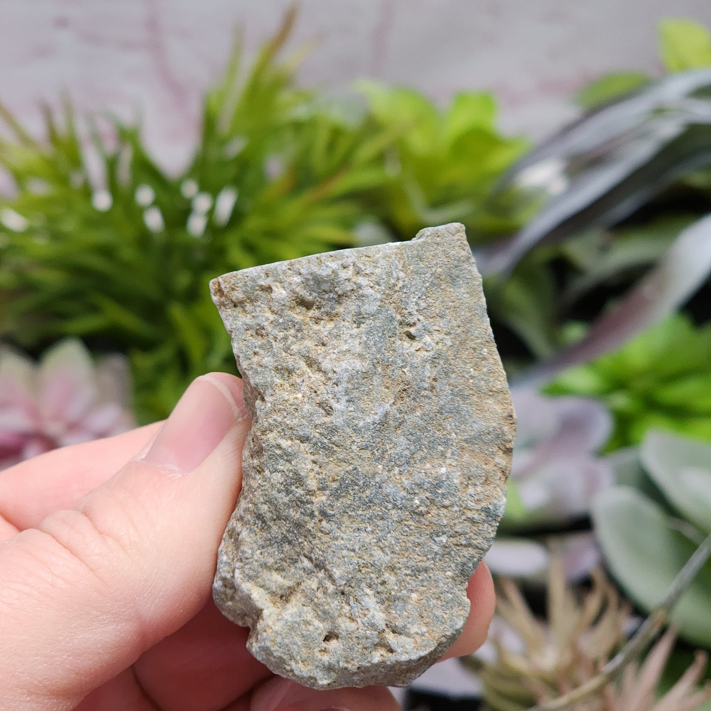 Olmec Blue Jadeite Jade Rough Material | 2315
