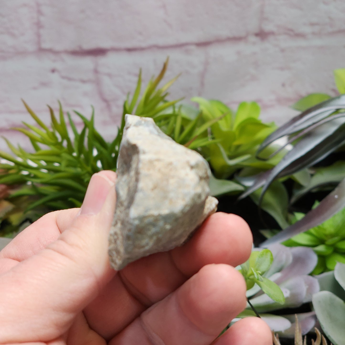 Olmec Blue Jadeite Jade Rough Material | 2315