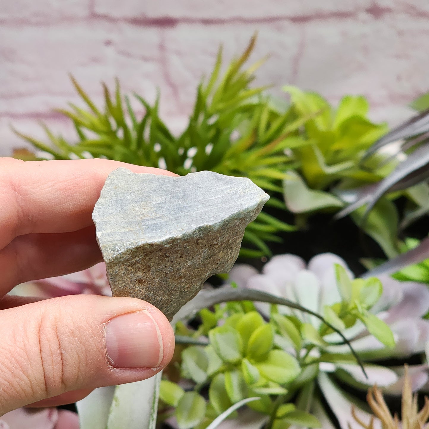 Olmec Blue Jadeite Jade Rough Material | 2315