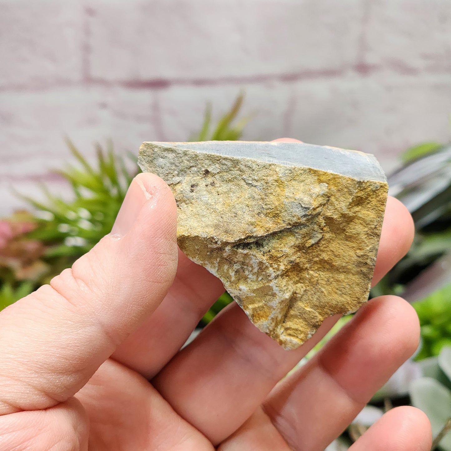 Olmec Blue Jadeite Jade Rough Material | 2313