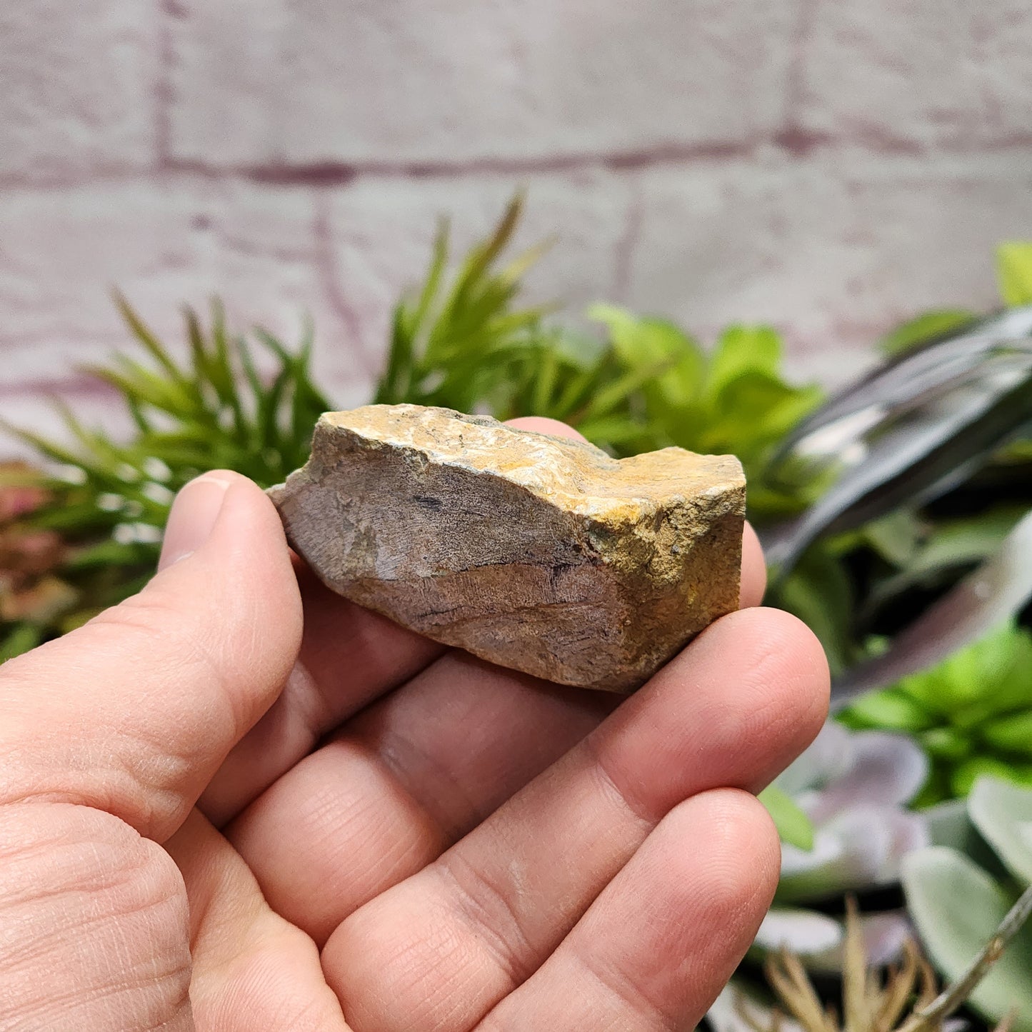 Olmec Blue Jadeite Jade Rough Material | 2313