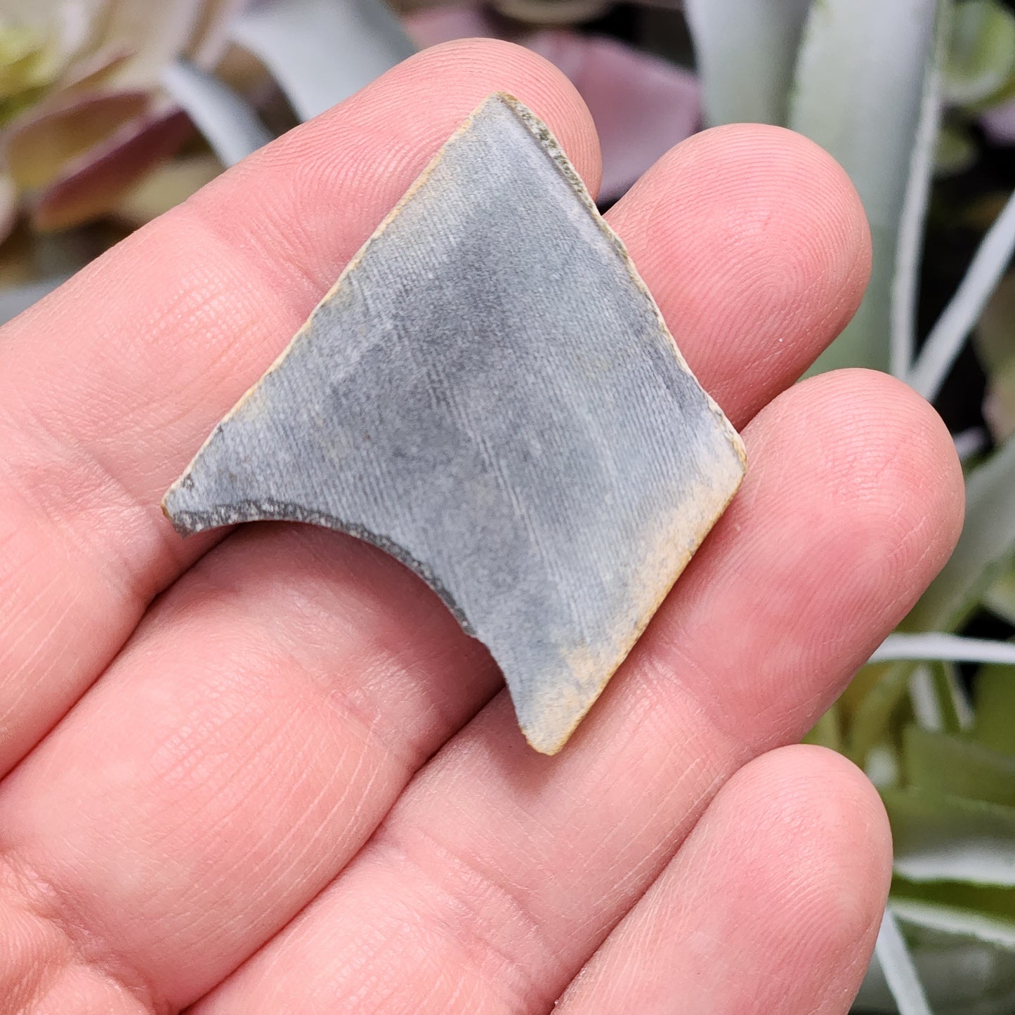 Olmec Blue Jadeite Jade Rough Material | 2317