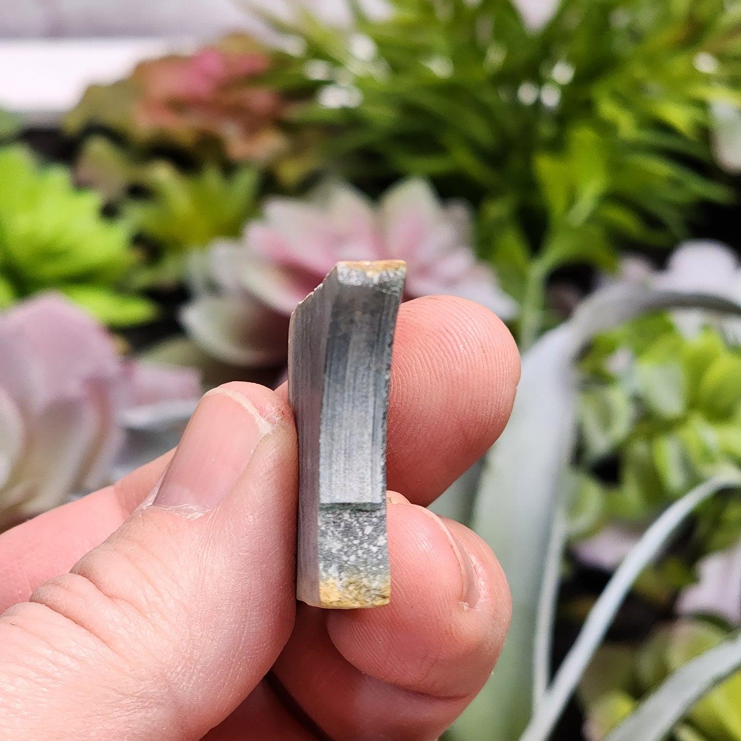 Olmec Blue Jadeite Jade Rough Material | 2317
