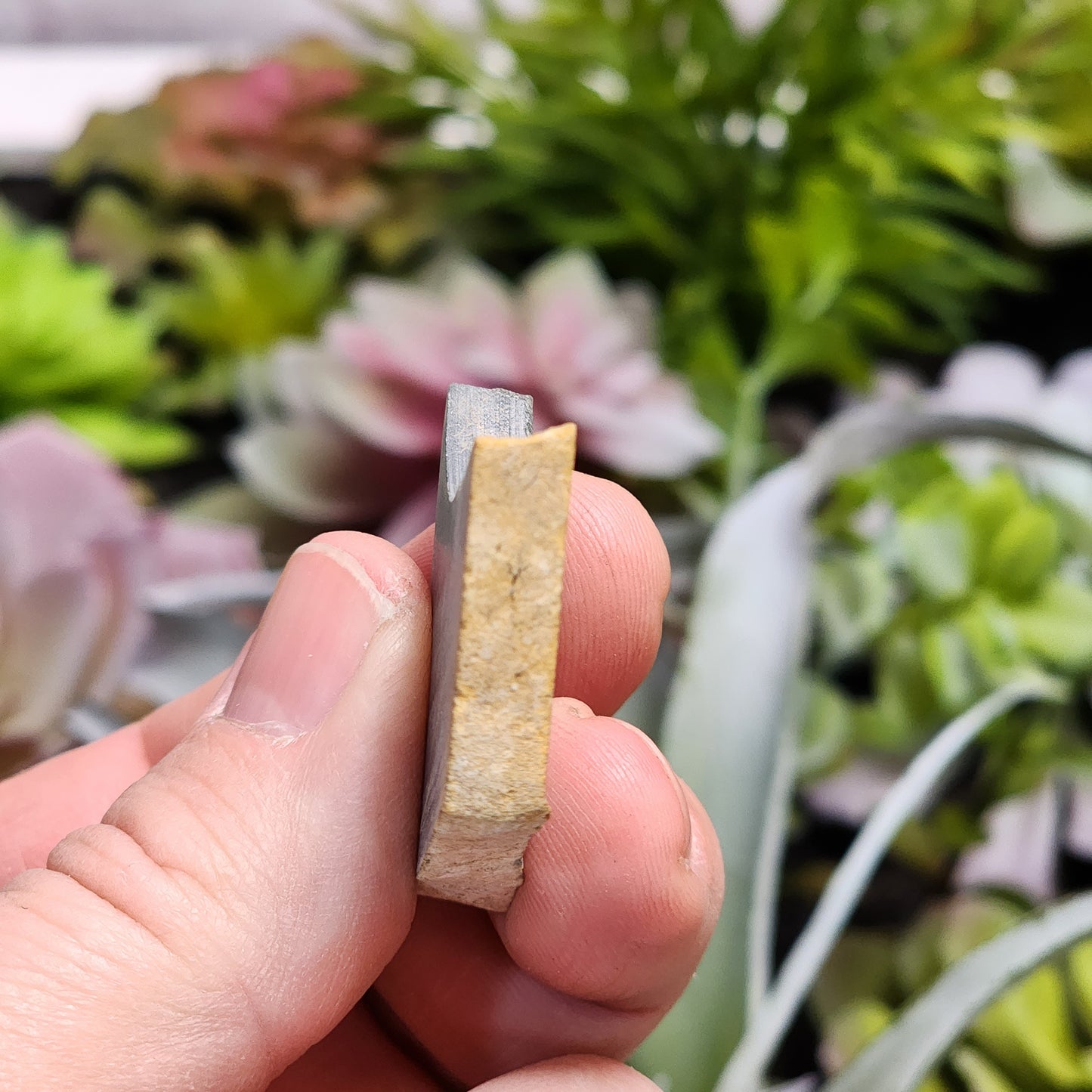 Olmec Blue Jadeite Jade Rough Material | 2317
