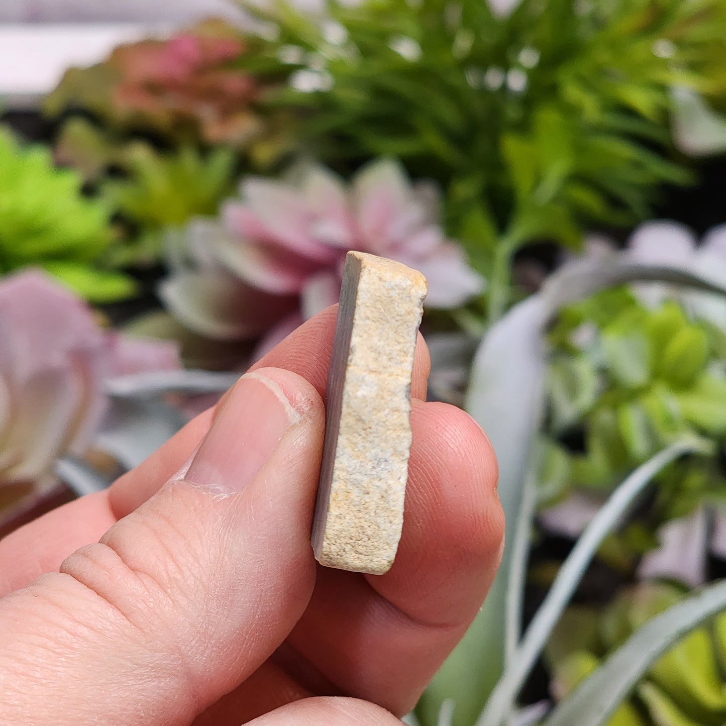 Olmec Blue Jadeite Jade Rough Material | 2317