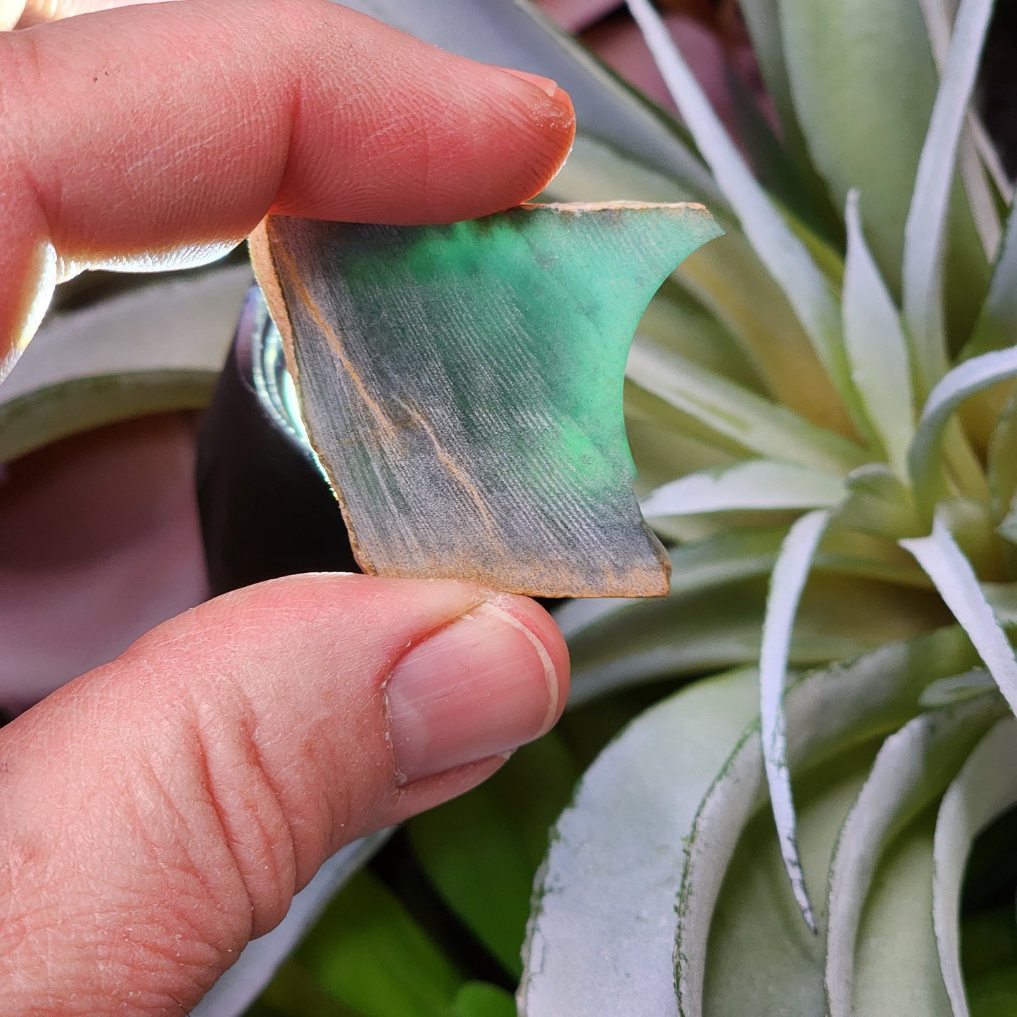 Olmec Blue Jadeite Jade Rough Material | 2317