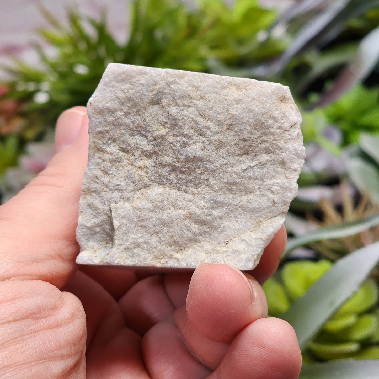 Guatemalan White Ice Jadeite Jade Rough Material | 2319