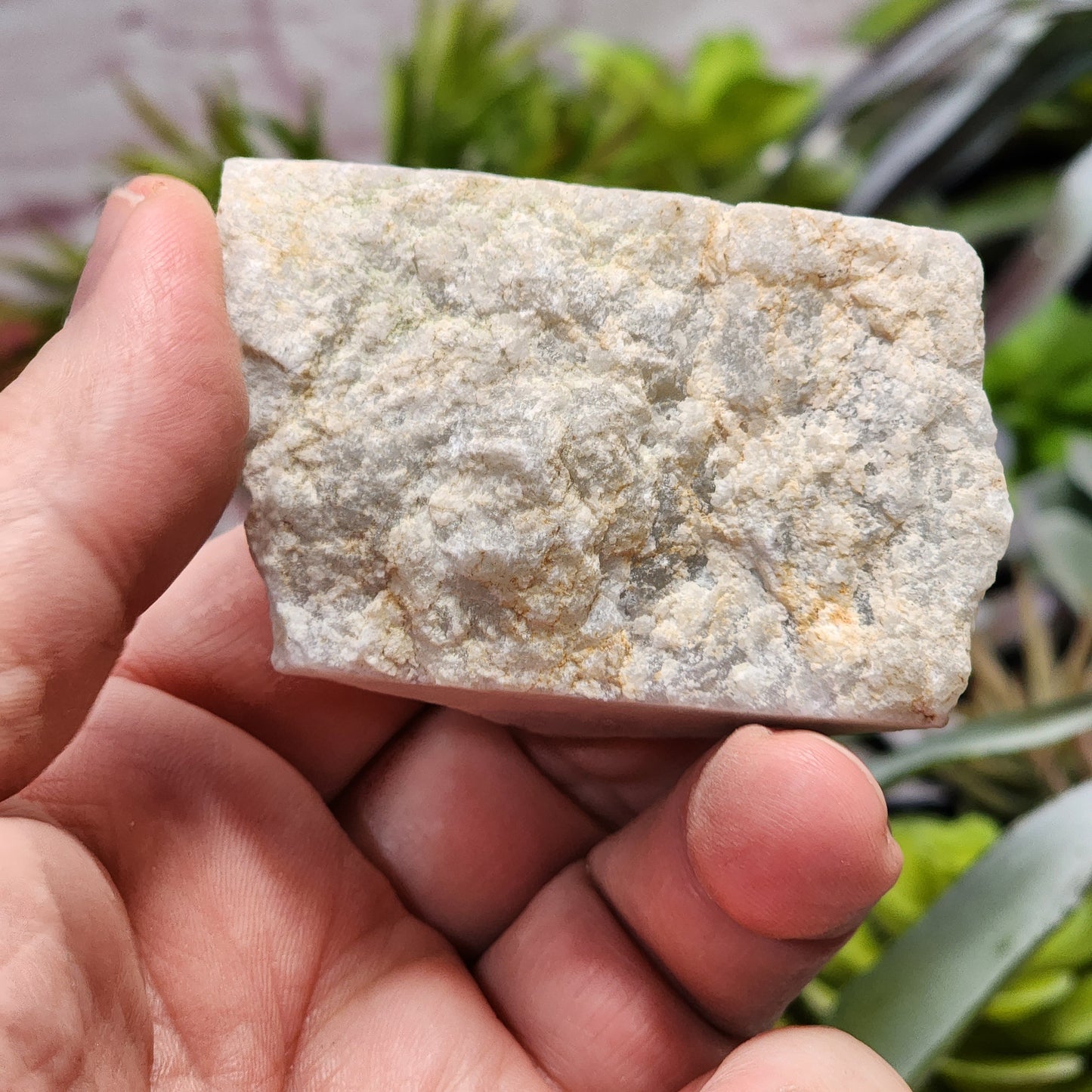 Guatemalan White Ice Jadeite Jade Rough Material | 2319