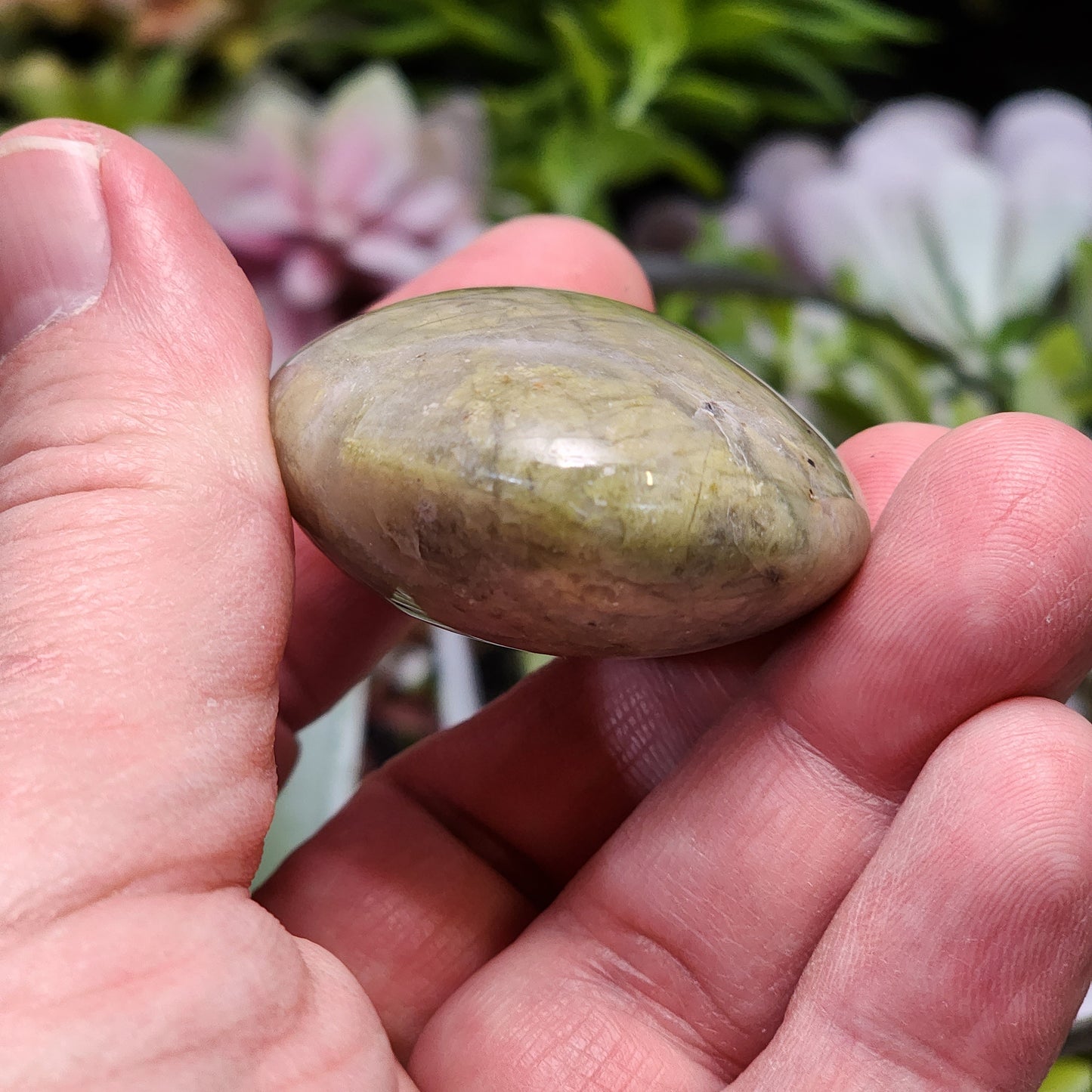 Green Quartz Palmstone | 2332