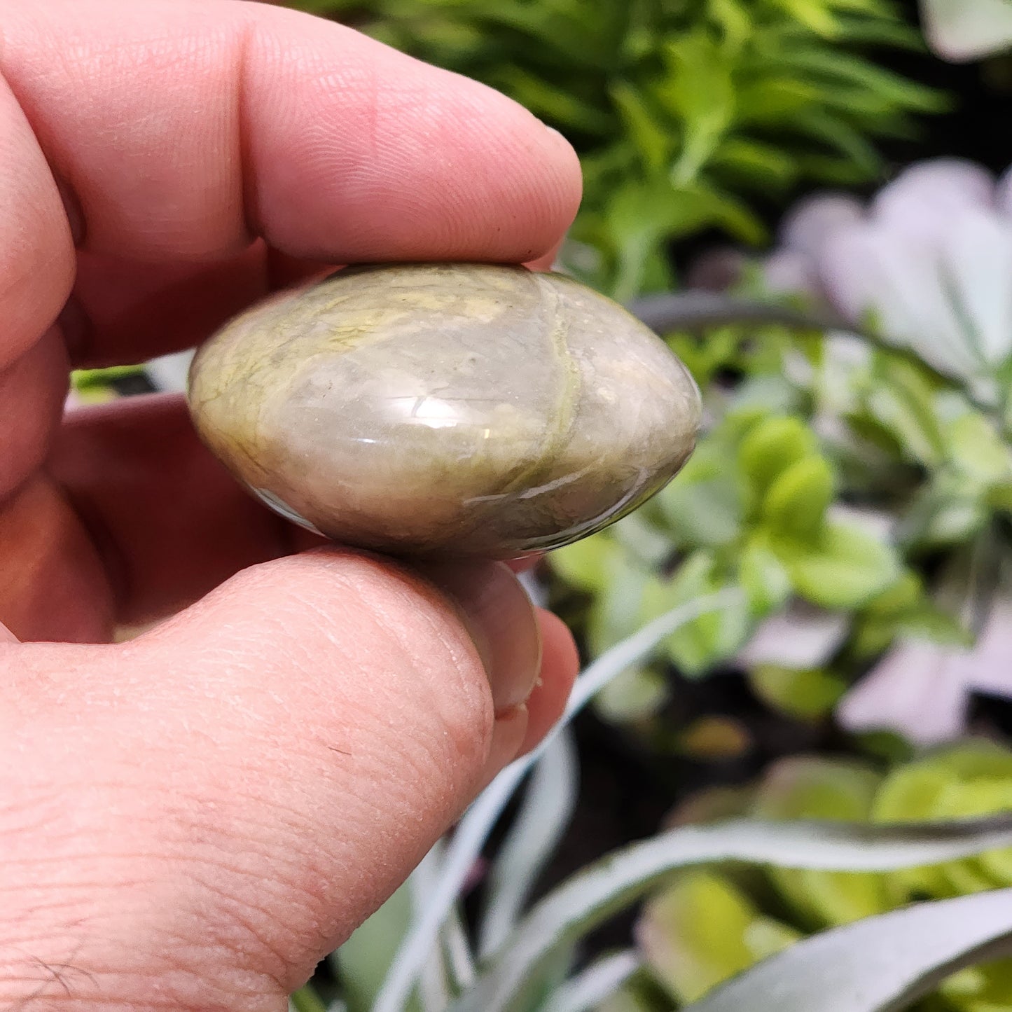 Green Quartz Palmstone | 2332