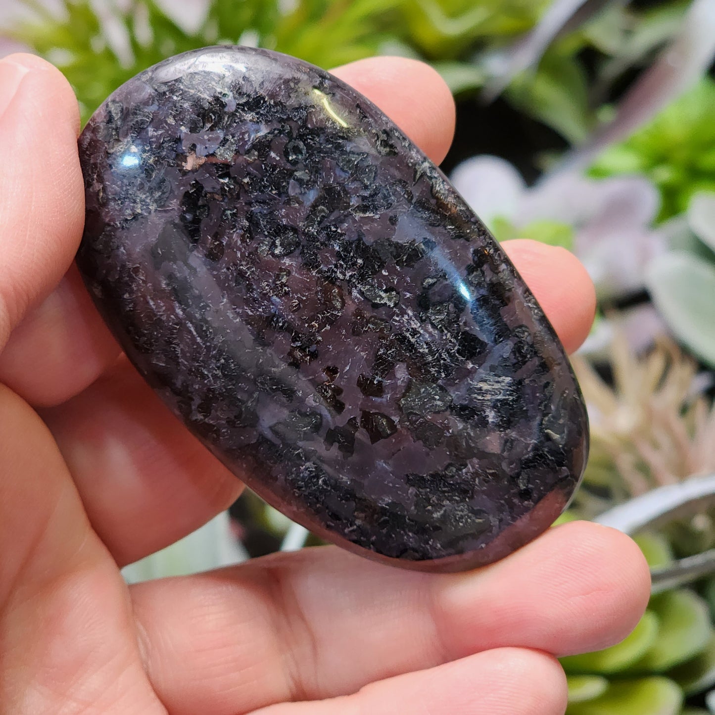 Indigo Gabbro Palmstone | 2361