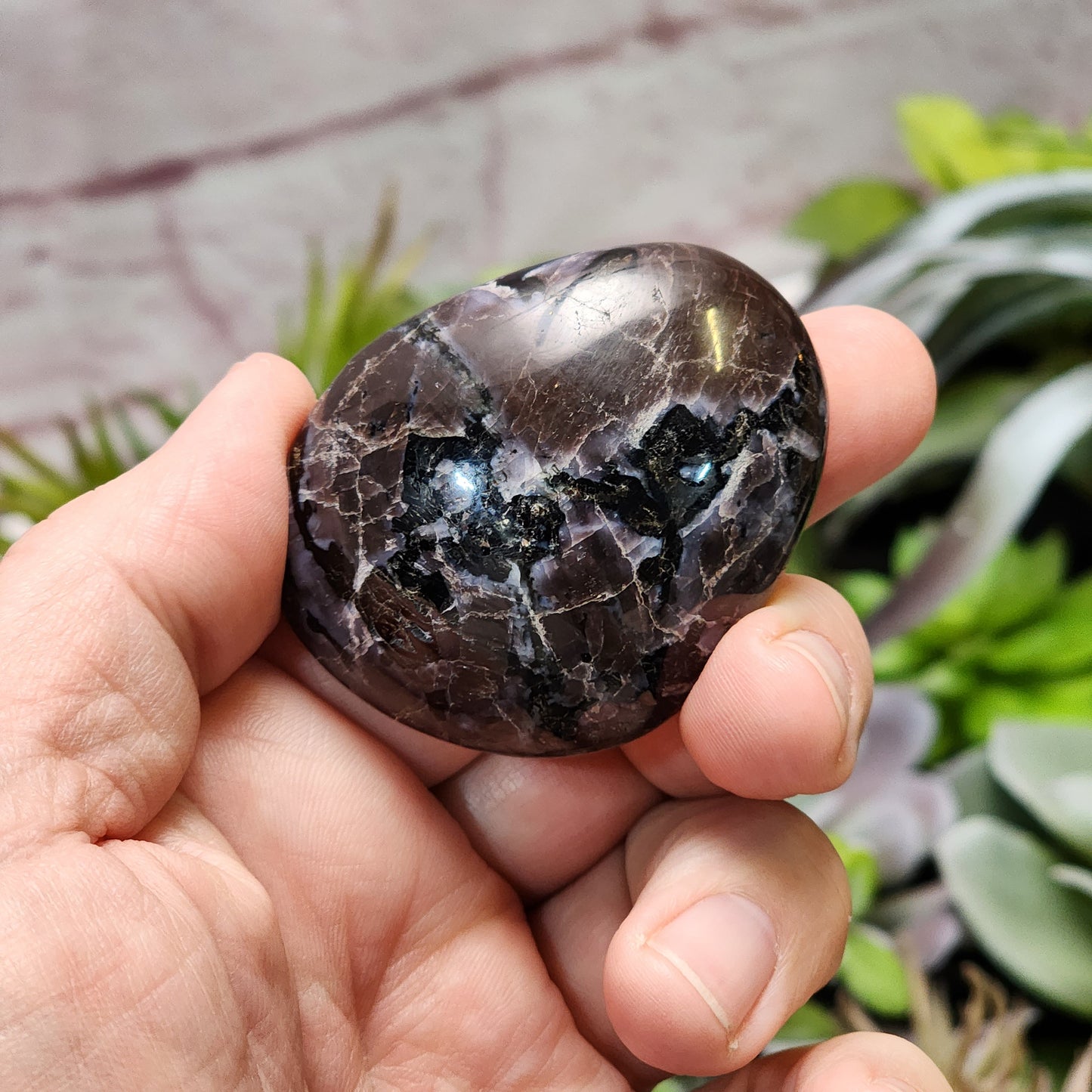 Indigo Gabbro Palmstone | 2362