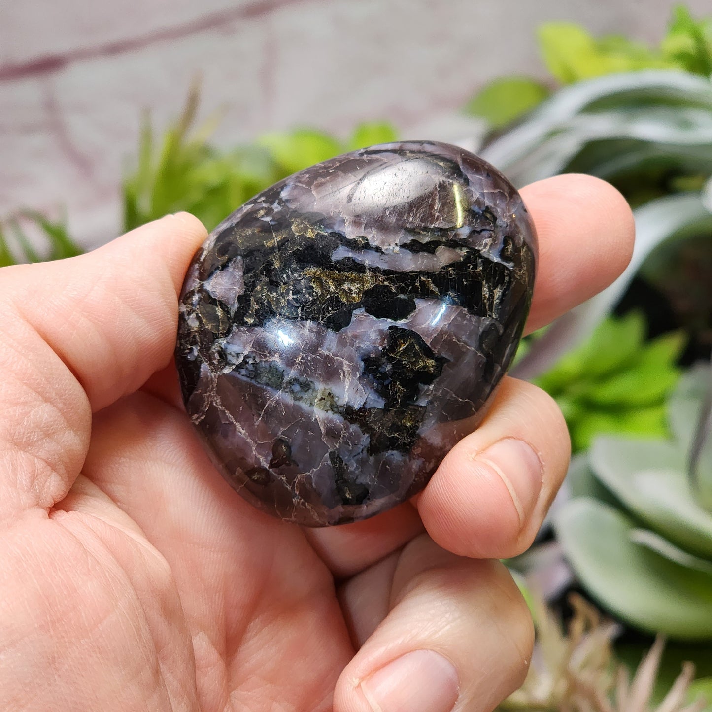 Indigo Gabbro Palmstone | 2362