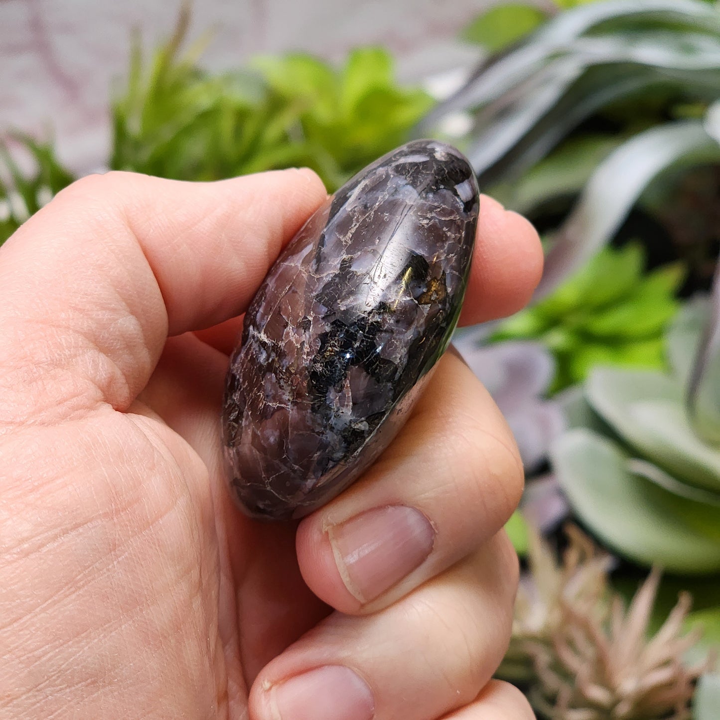 Indigo Gabbro Palmstone | 2362