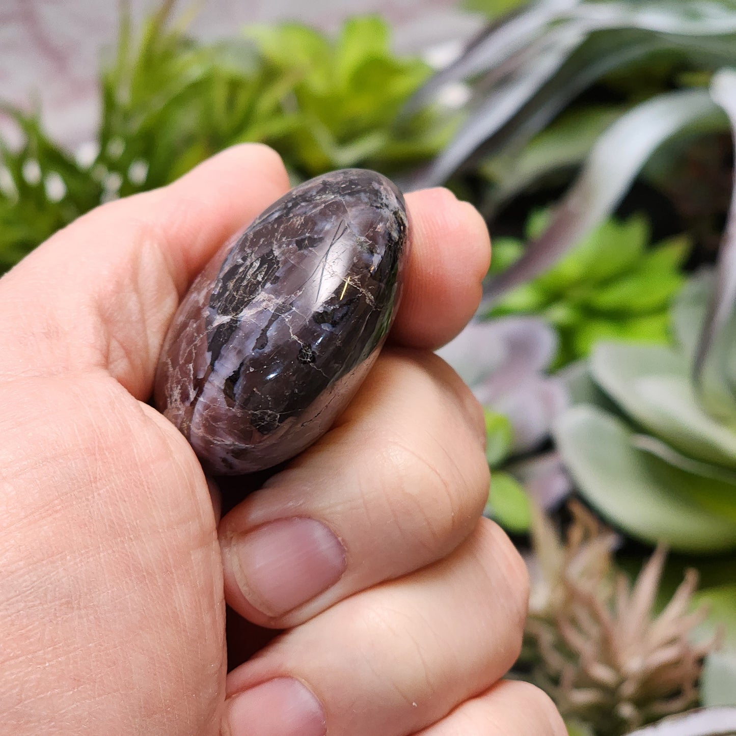 Indigo Gabbro Palmstone | 2362