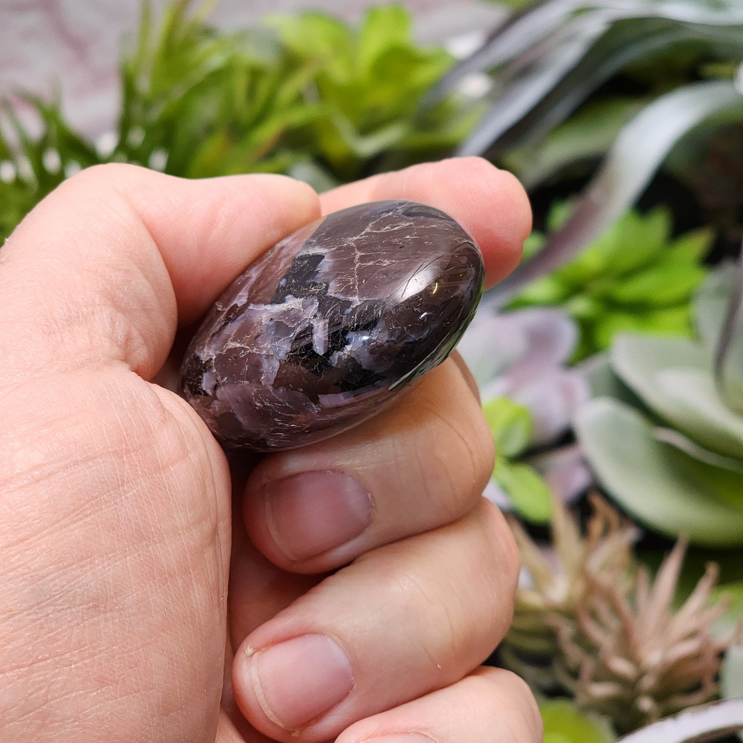 Indigo Gabbro Palmstone | 2362