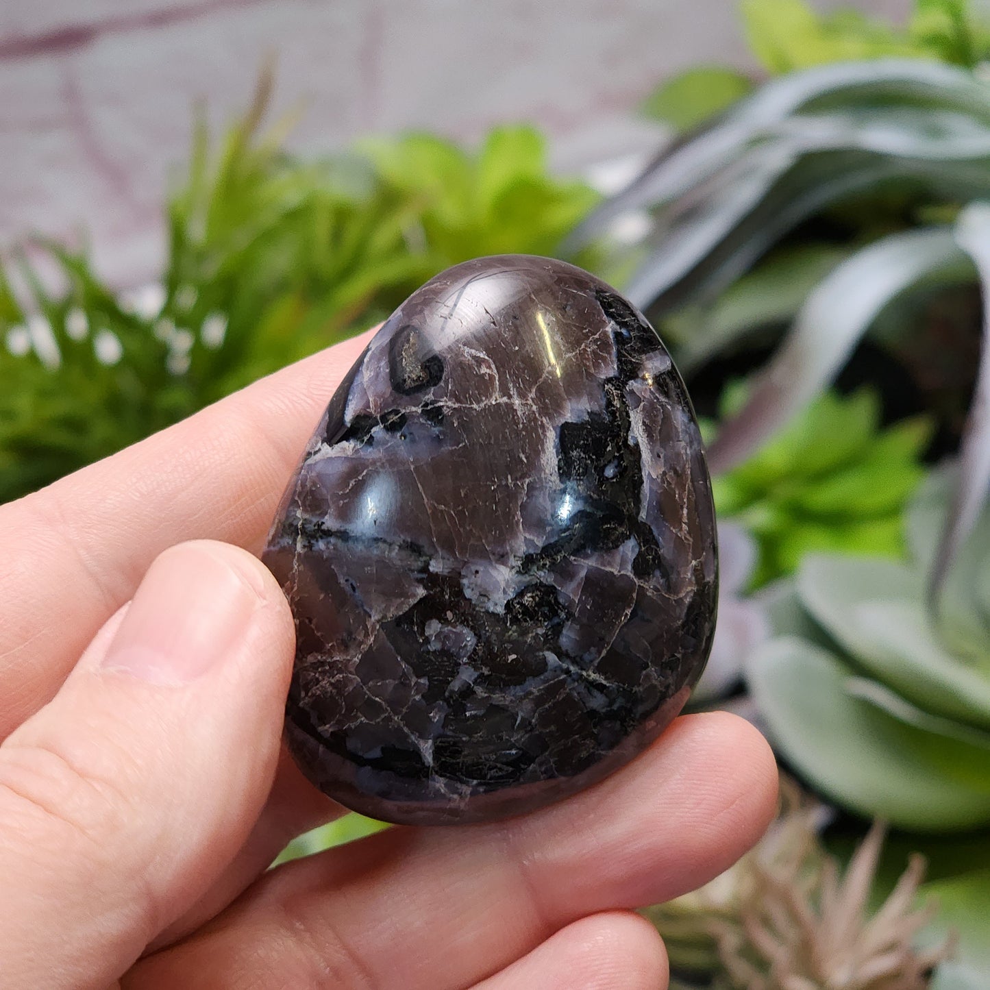Indigo Gabbro Palmstone | 2362