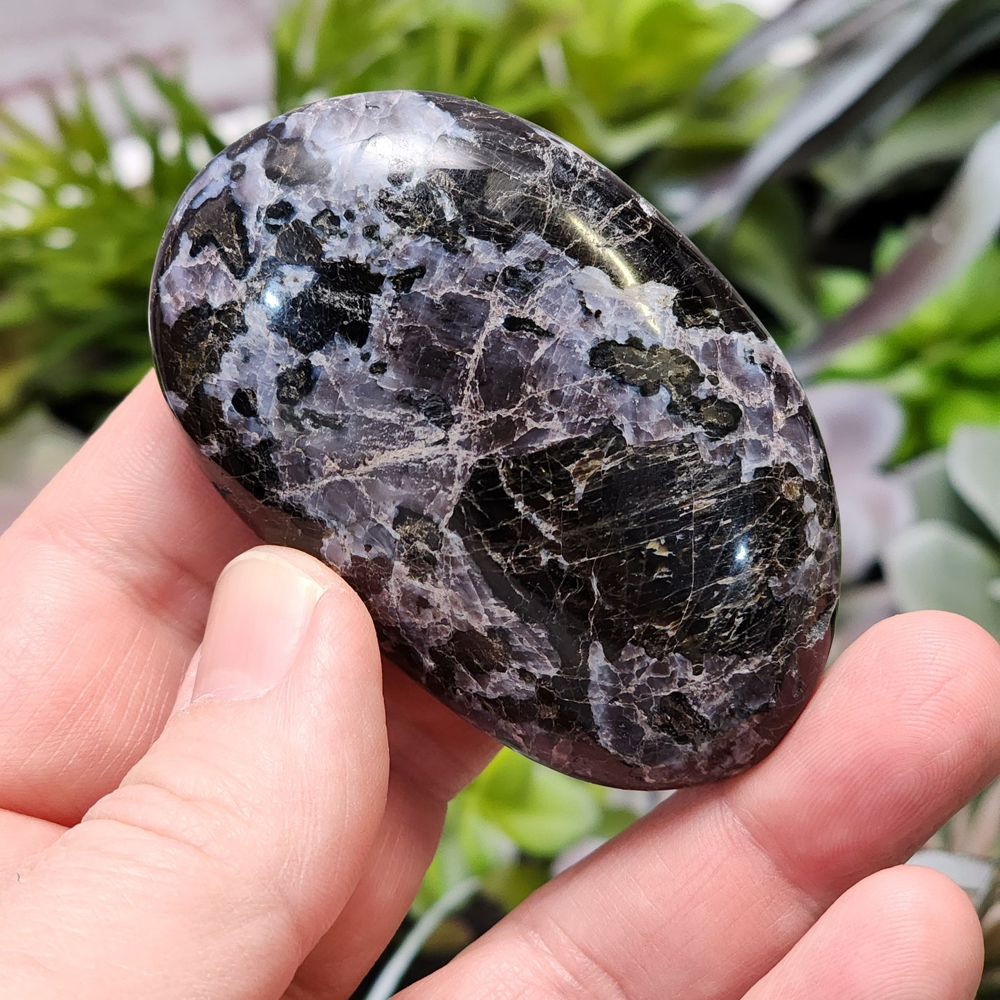 Indigo Gabbro Palmstone | 2363