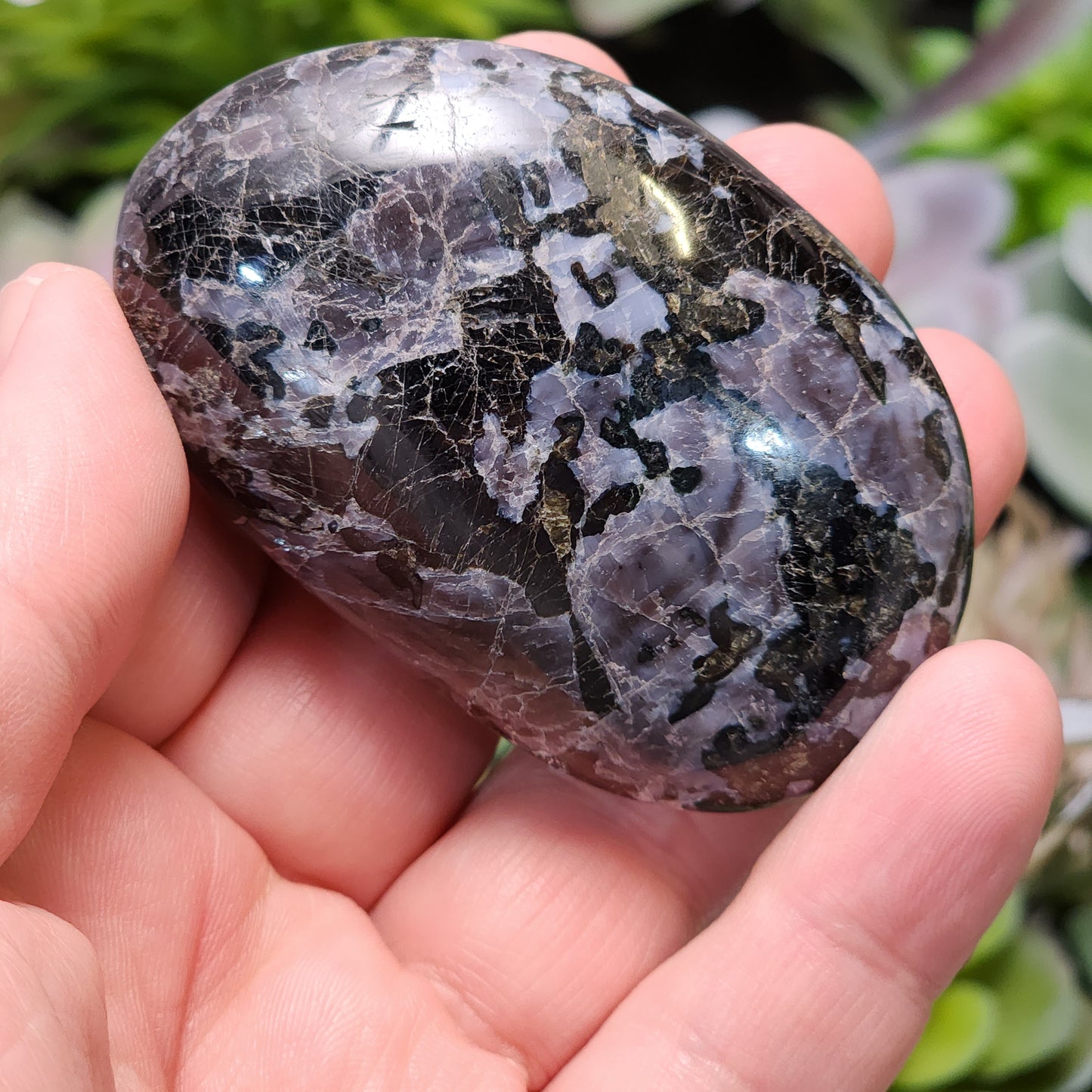 Indigo Gabbro Palmstone | 2363