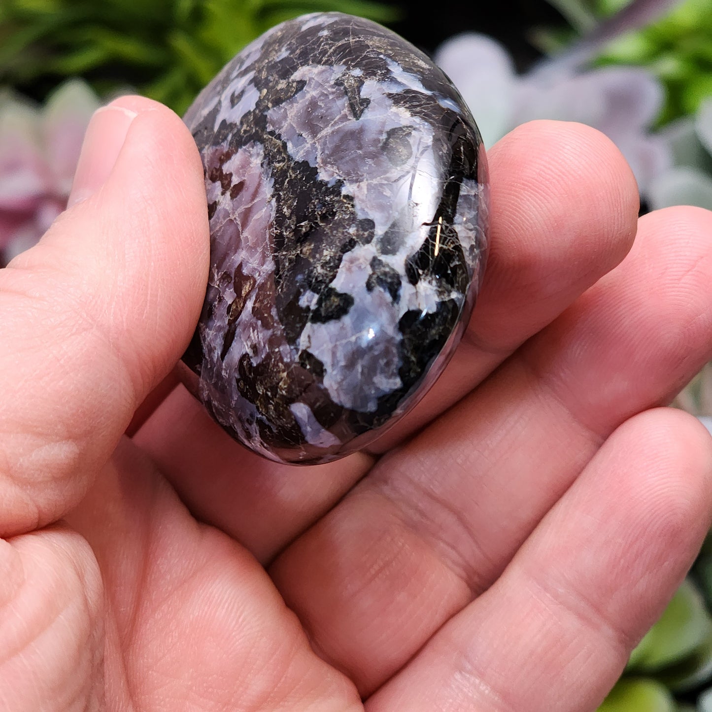 Indigo Gabbro Palmstone | 2363