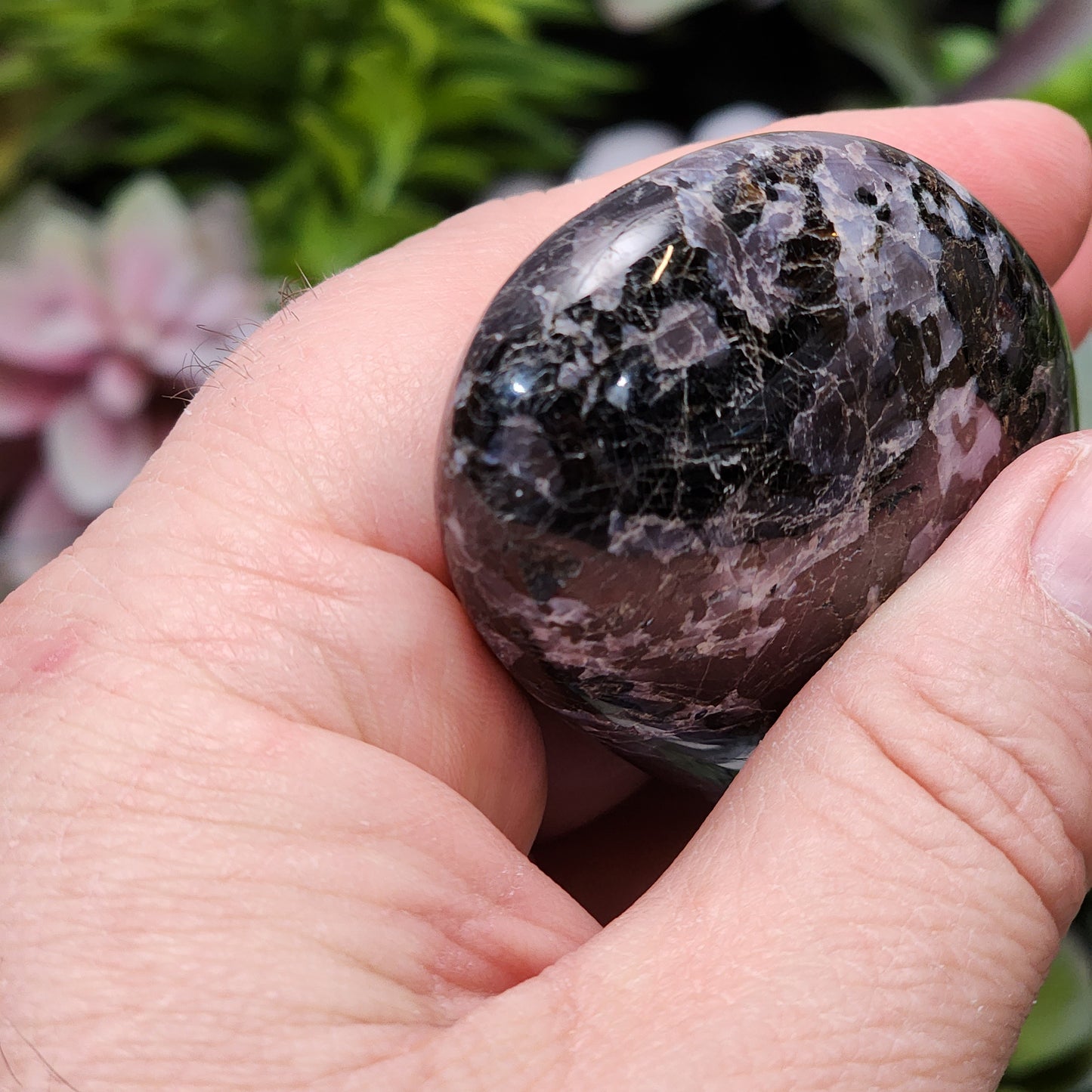 Indigo Gabbro Palmstone | 2363