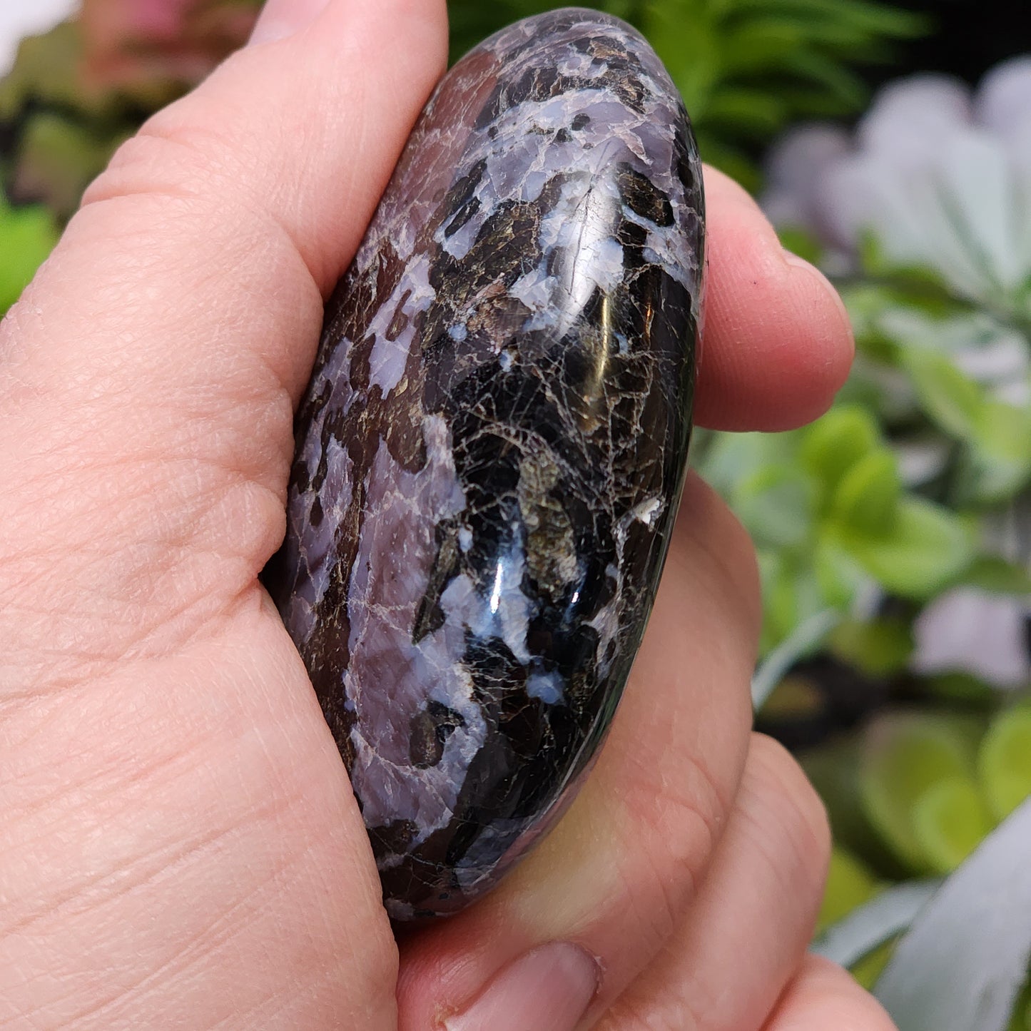 Indigo Gabbro Palmstone | 2363