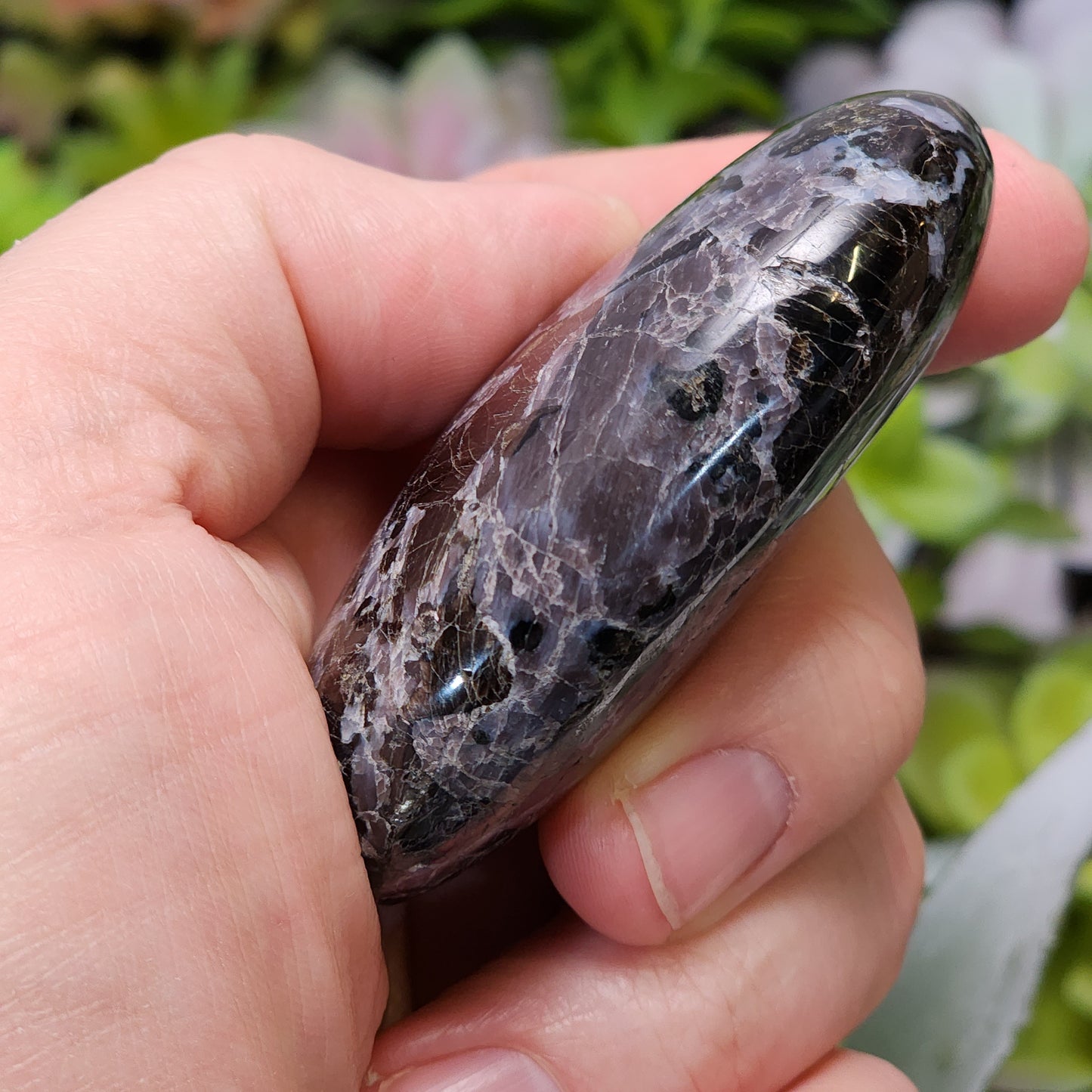 Indigo Gabbro Palmstone | 2363