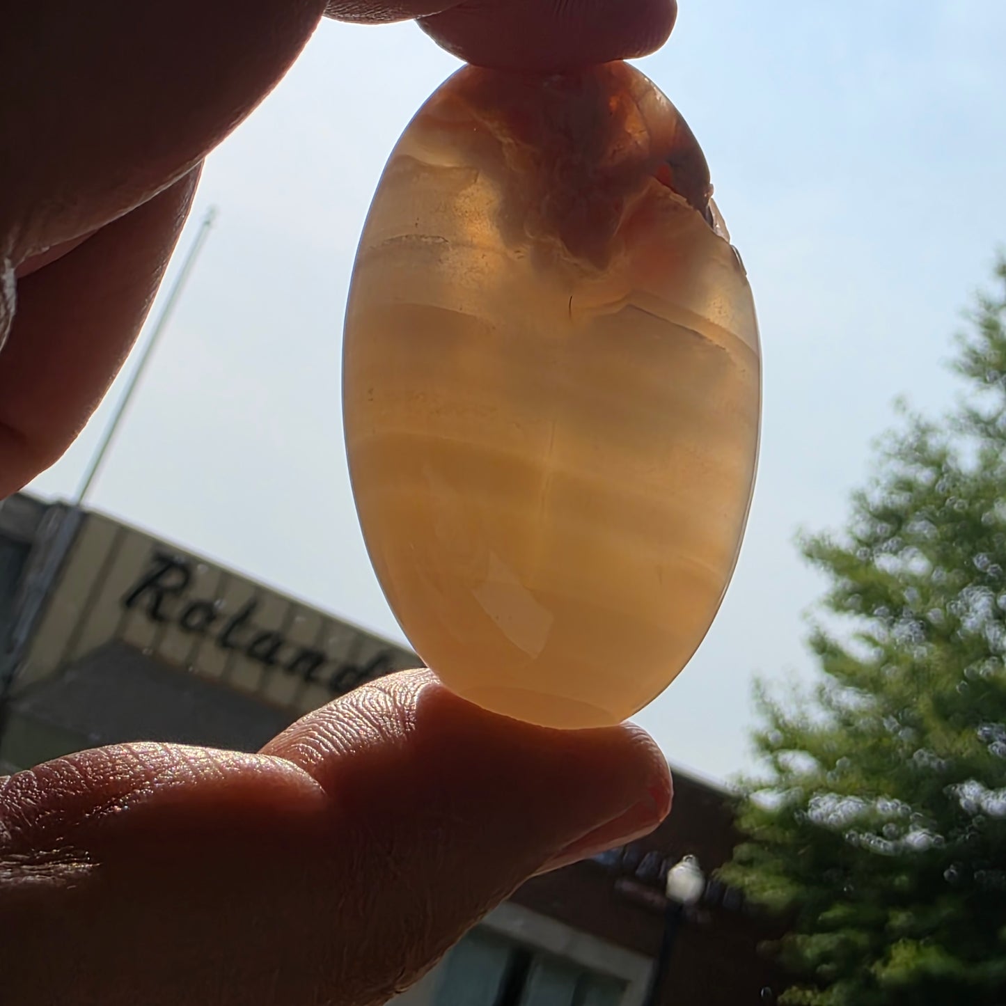 Flower Agate Palmstone | 1808