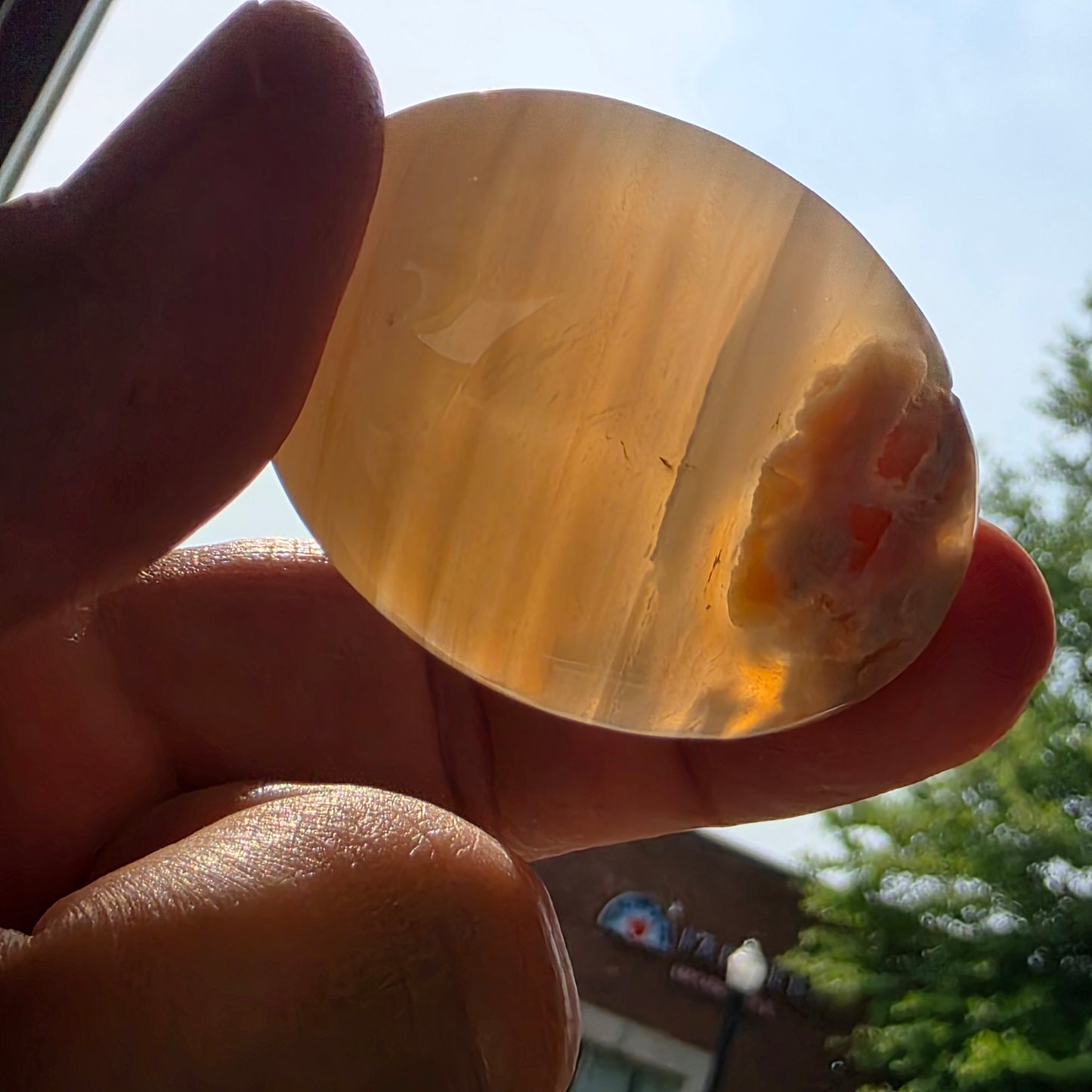 Flower Agate Palmstone | 1808