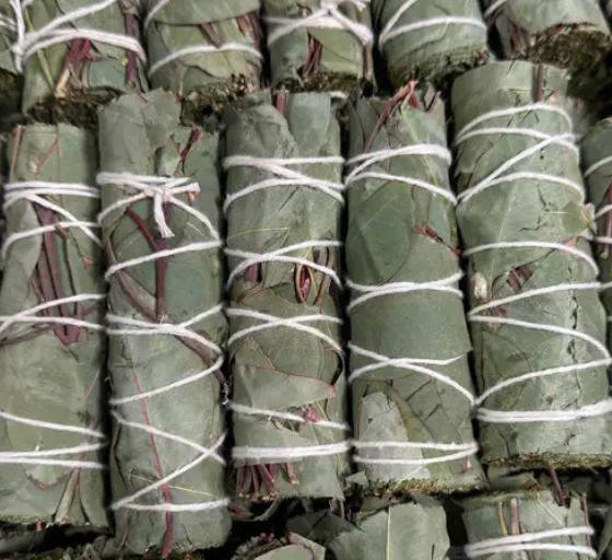 Eucalyptus Herb Bundle | 3218
