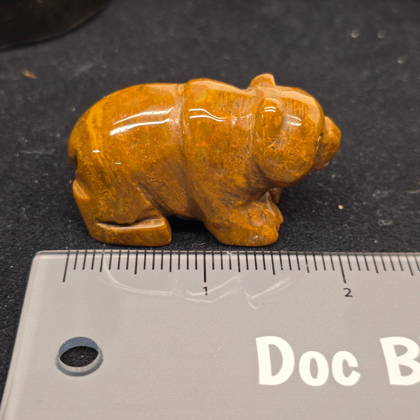 Sea Jasper Bear | 3167