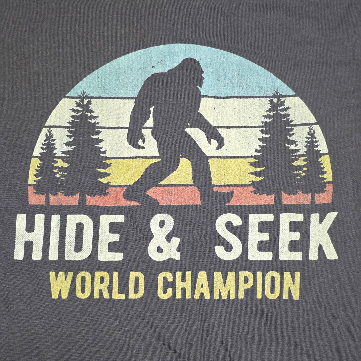 Hide & Seek World Champion (Women's M) T-Shirt (NWOT) | 3371