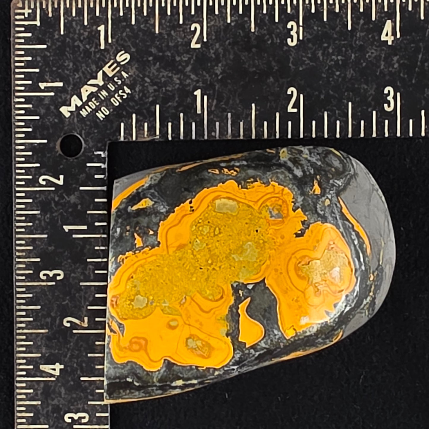 Bumblebee Jasper Freeform | 2526