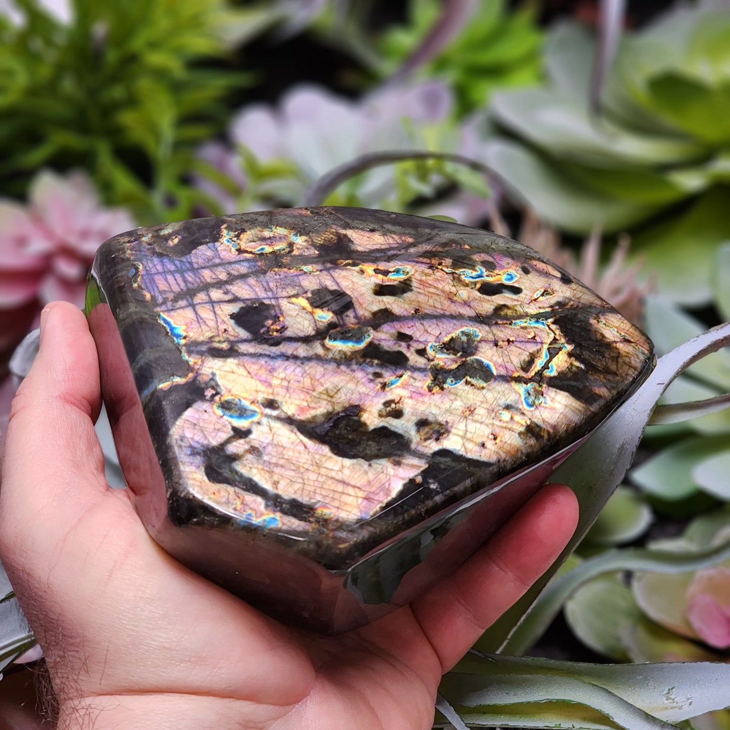 Labradorite Freeform | 2802