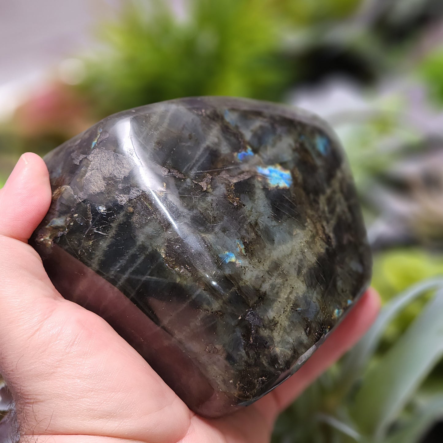 Labradorite Freeform | 2802