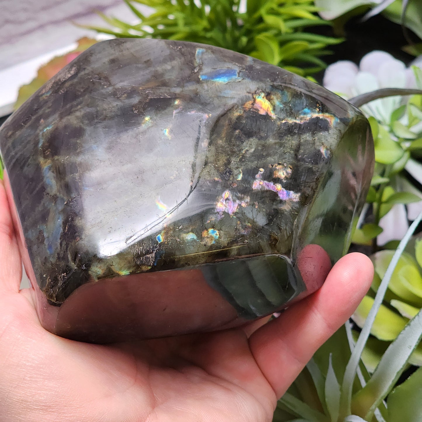 Labradorite Freeform | 2802