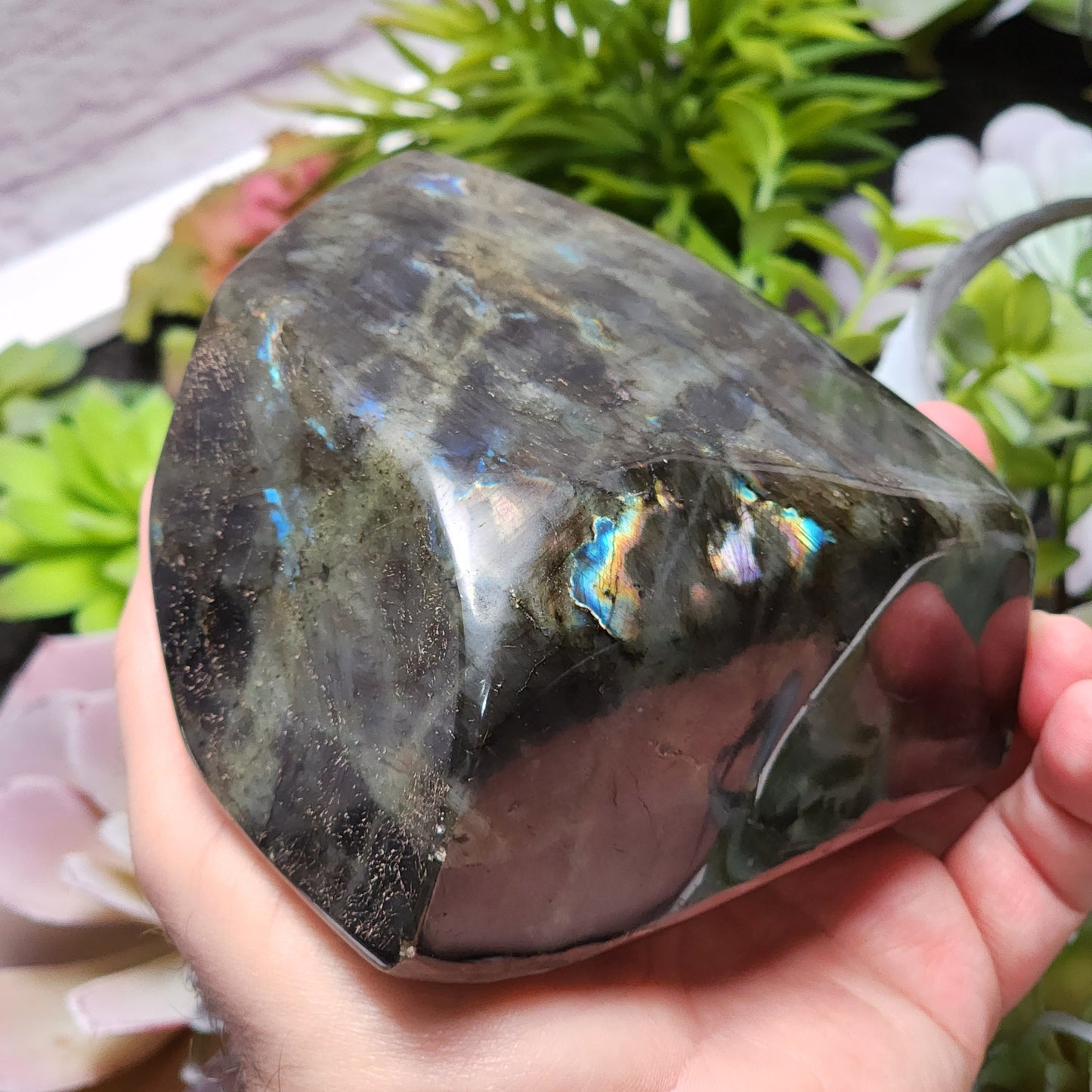 Labradorite Freeform | 2802