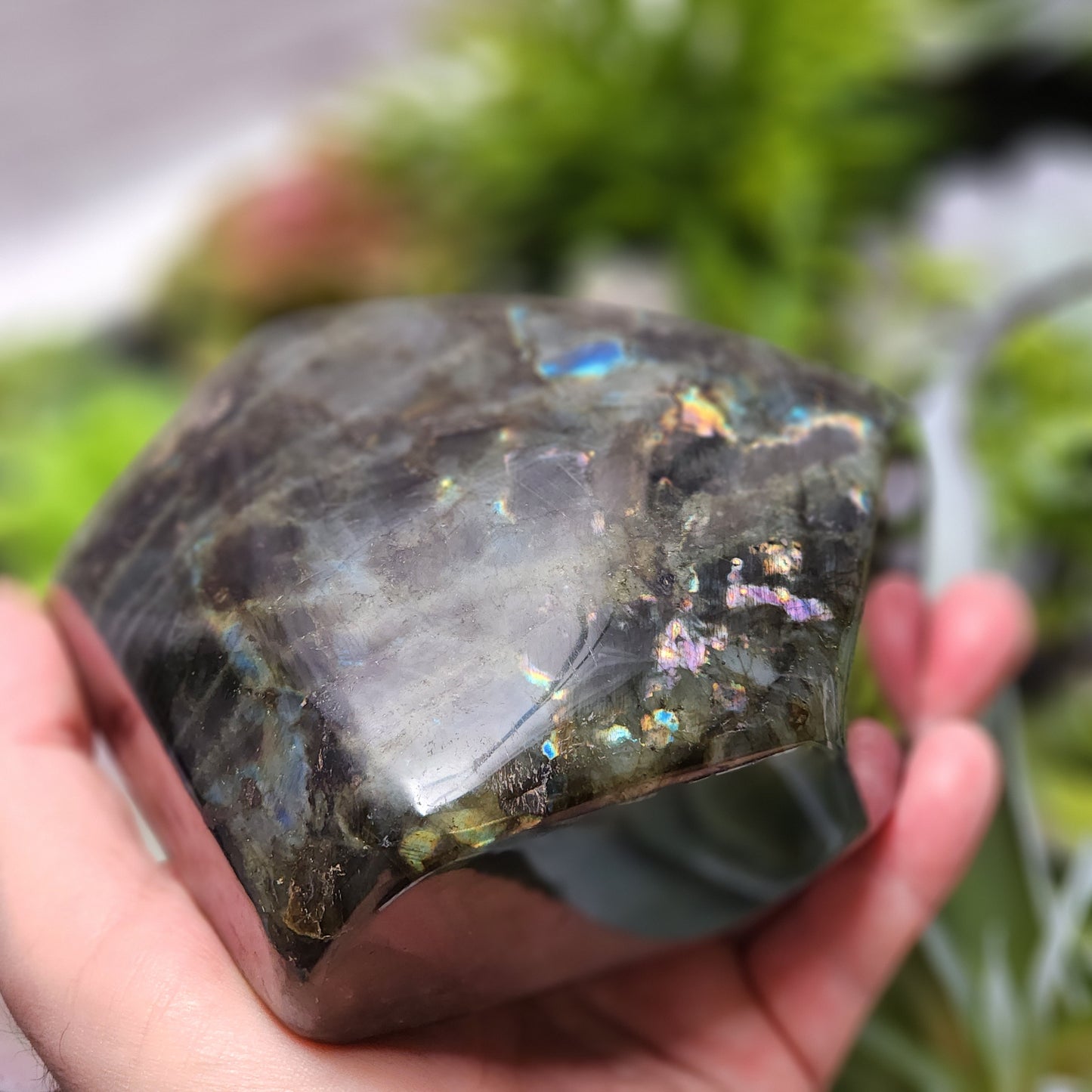 Labradorite Freeform | 2802
