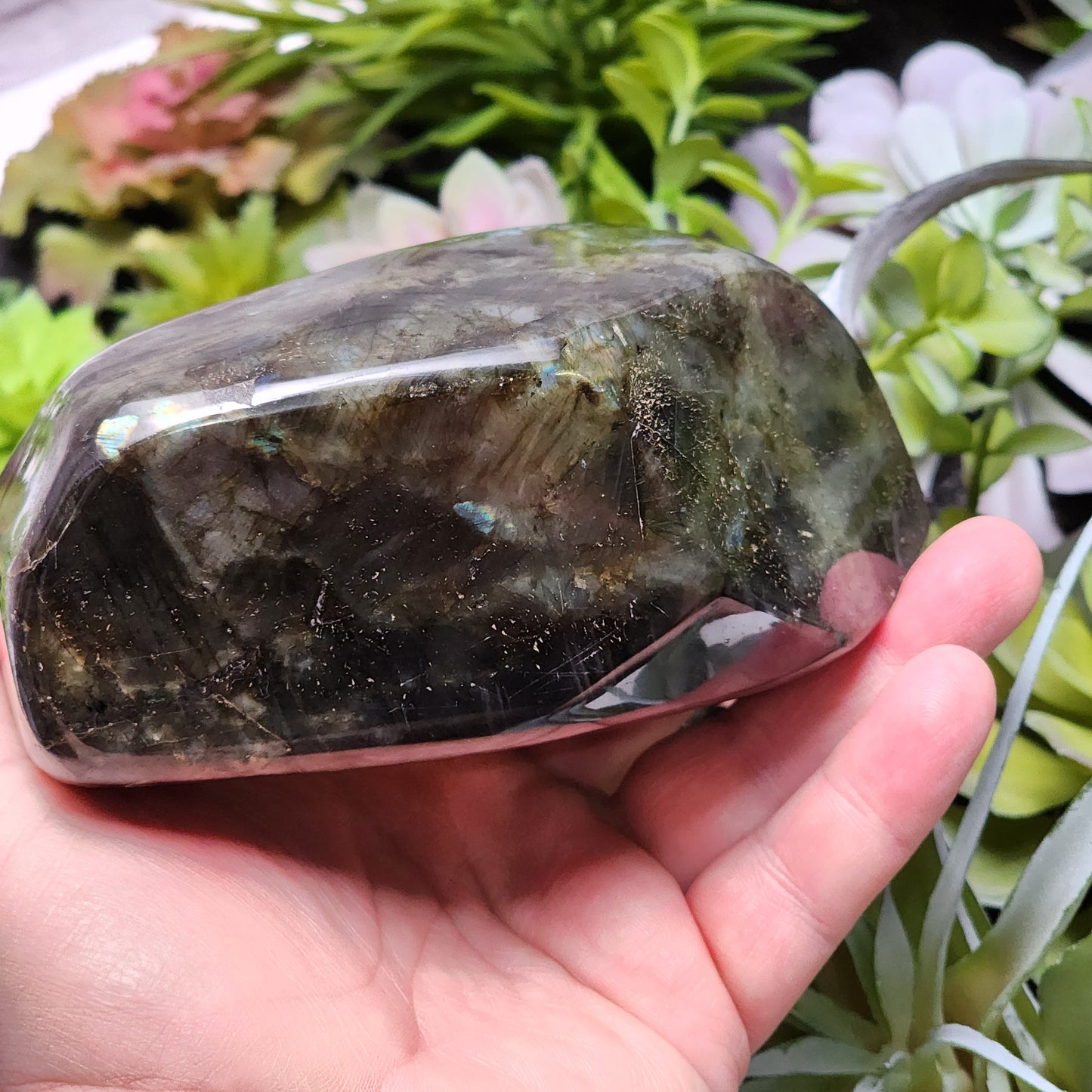 Labradorite Freeform | 2802