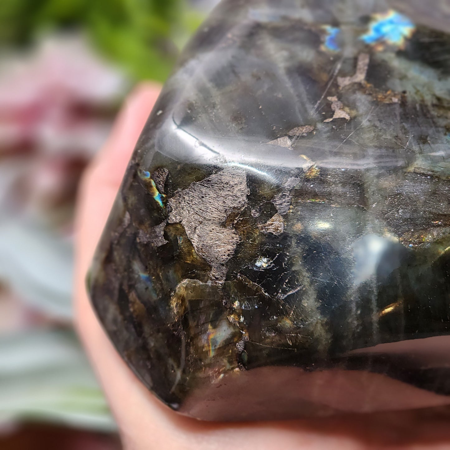 Labradorite Freeform | 2802