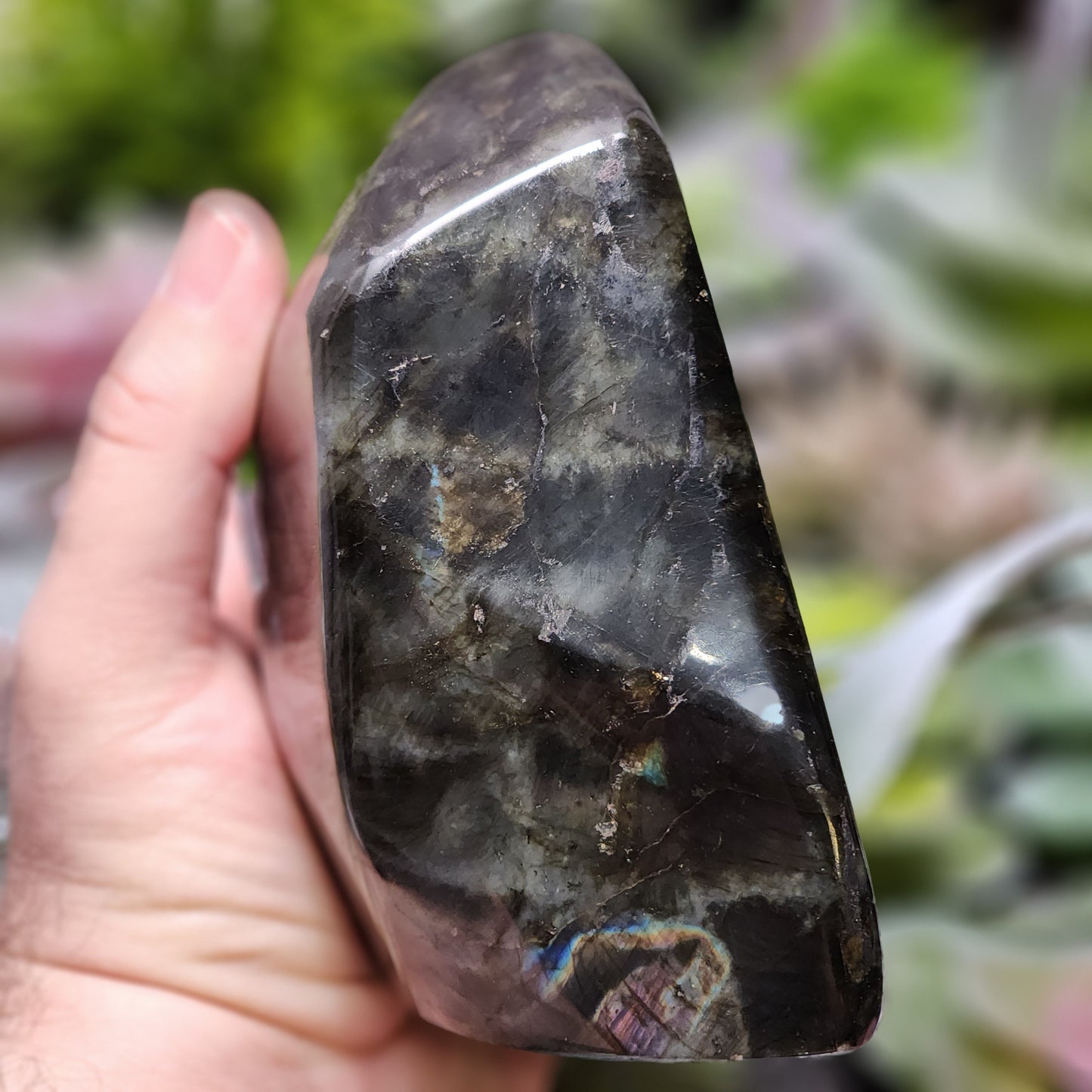 Labradorite Freeform | 2802