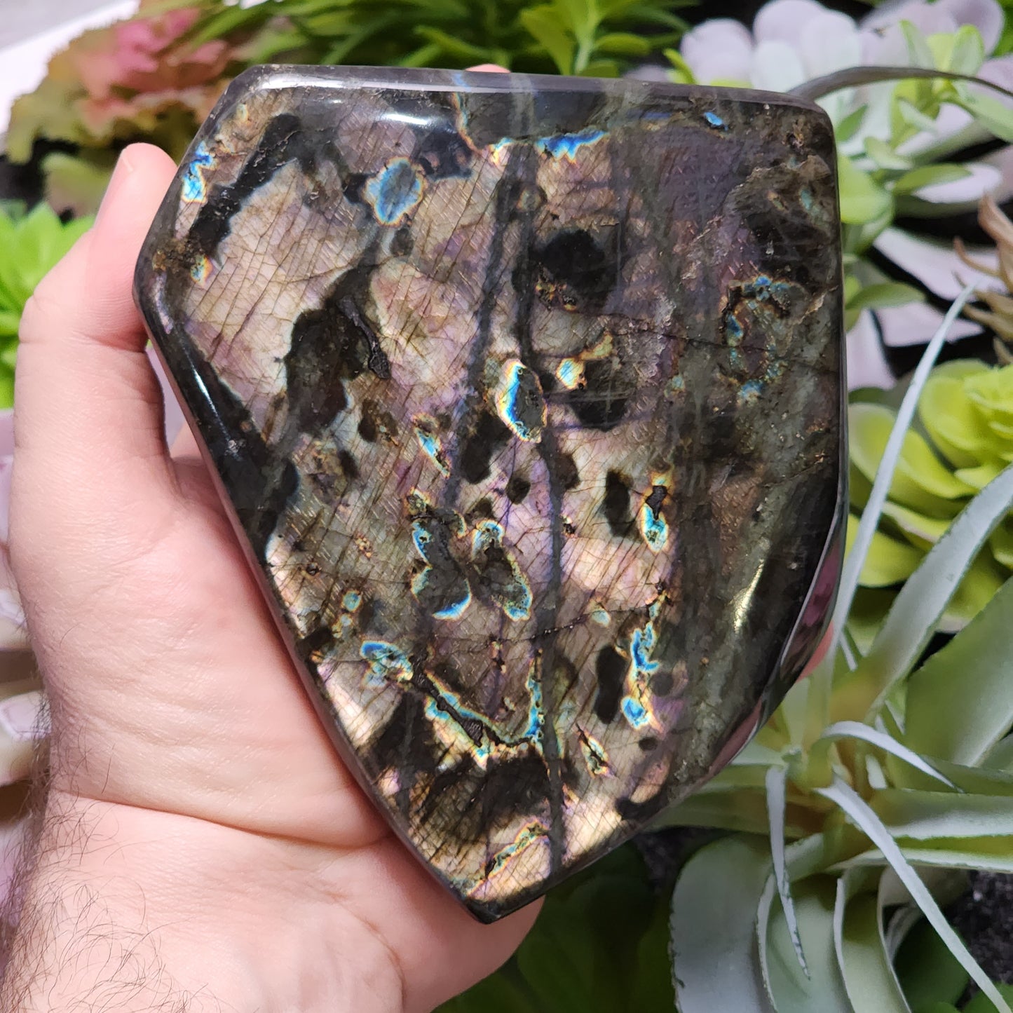 Labradorite Freeform | 2802